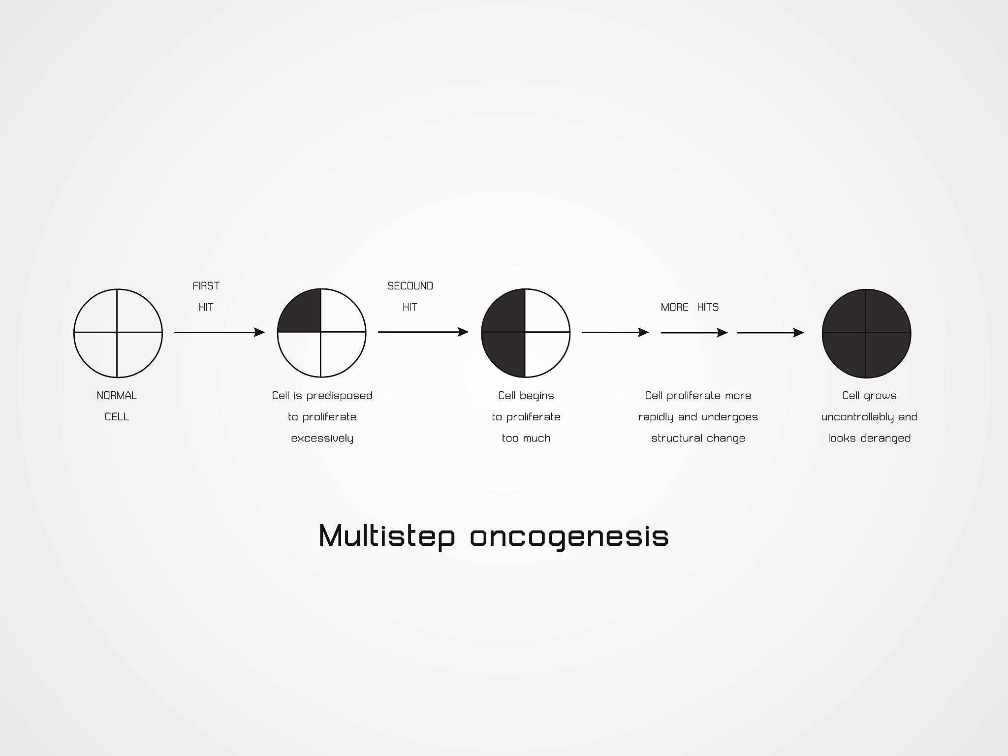 有丝分裂前期发生的事件。