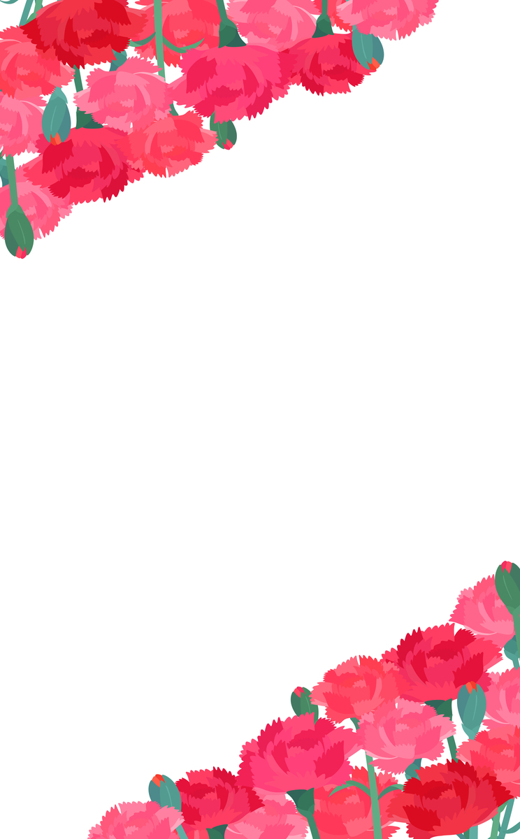 康乃馨花边透明背景