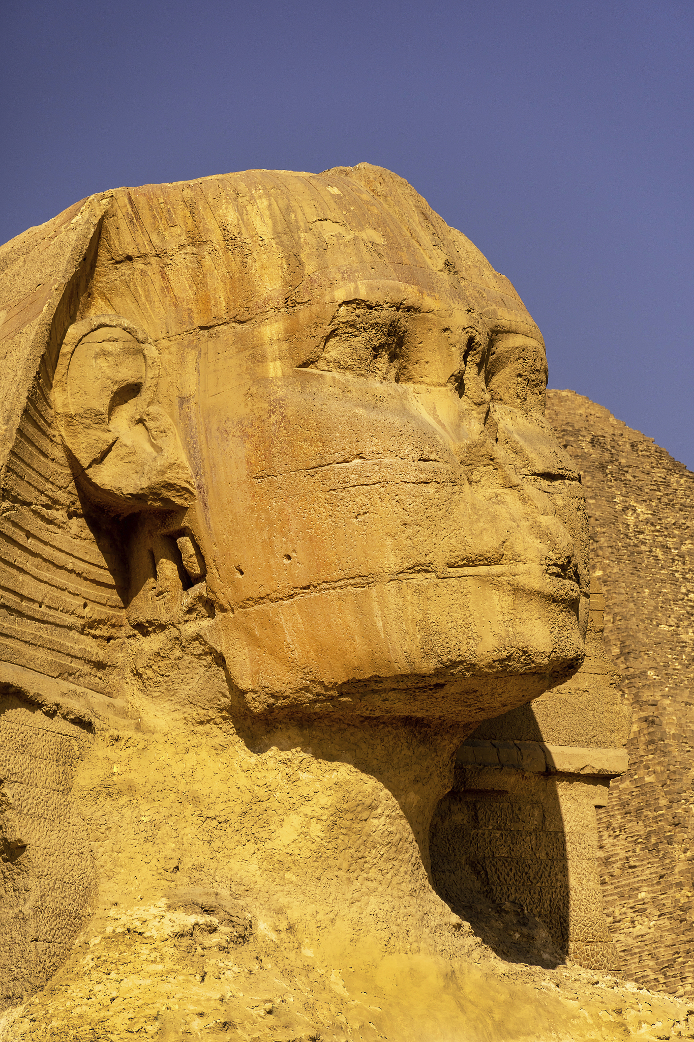the great sphinx of giza showing a close-up side view of the hea