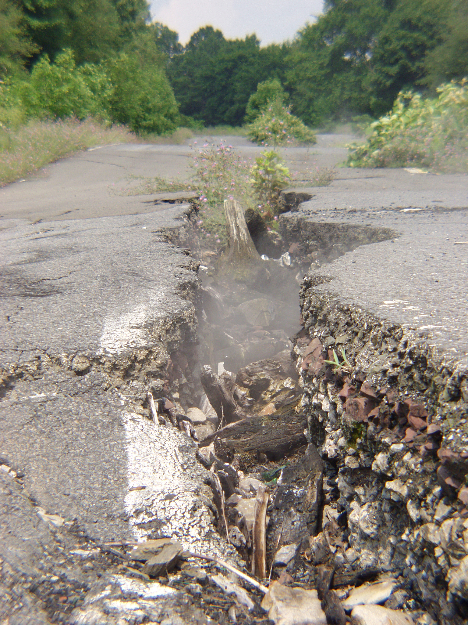 环境问题论文：原因、影响及解决方案