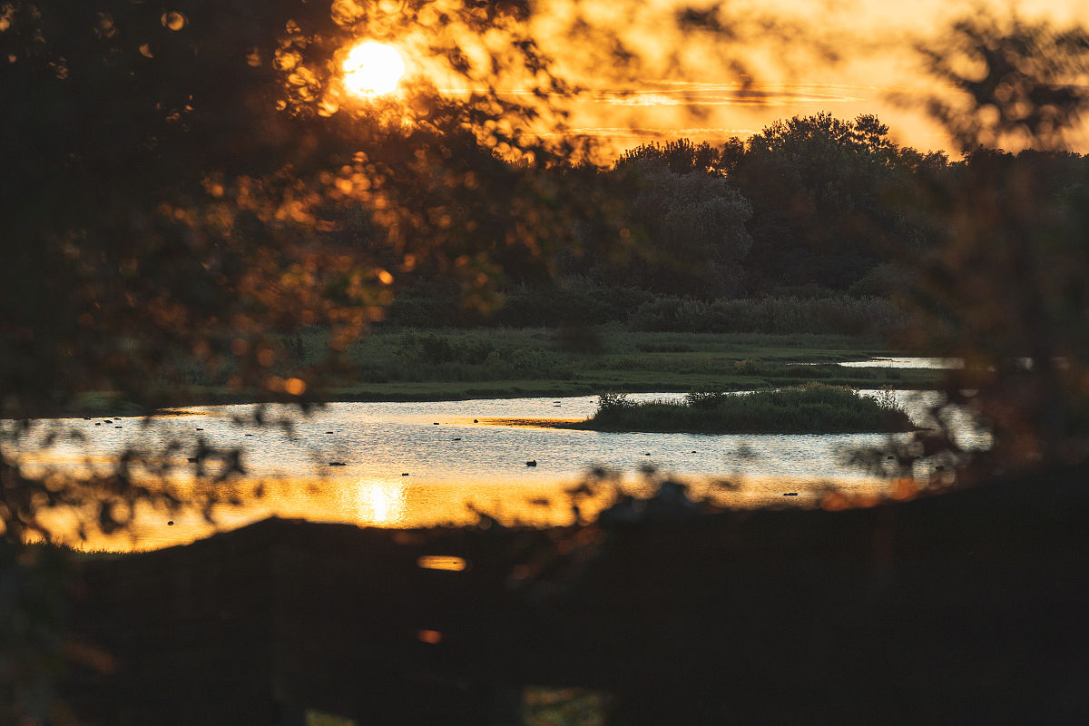 晚风：傍晚的温柔与浪漫 | 300字深度解读