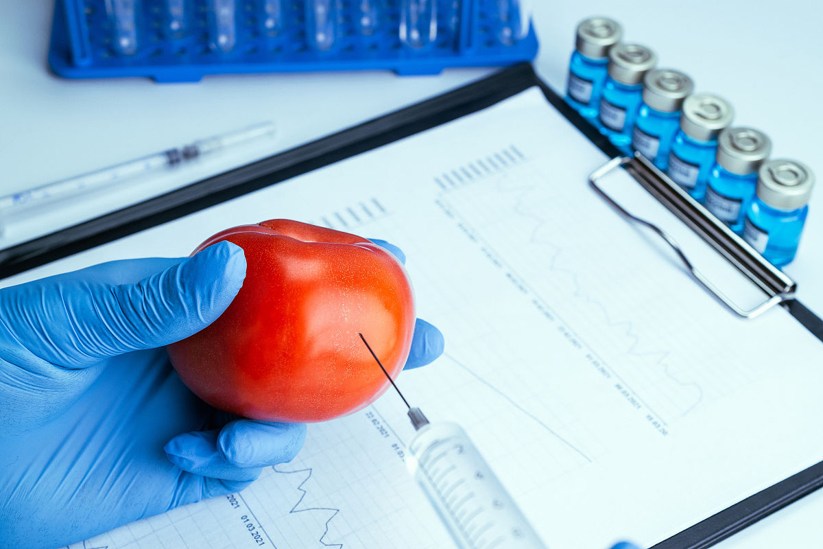 AtbZIP69基因过表达提高小麦氮胁迫耐受性研究存在缺陷