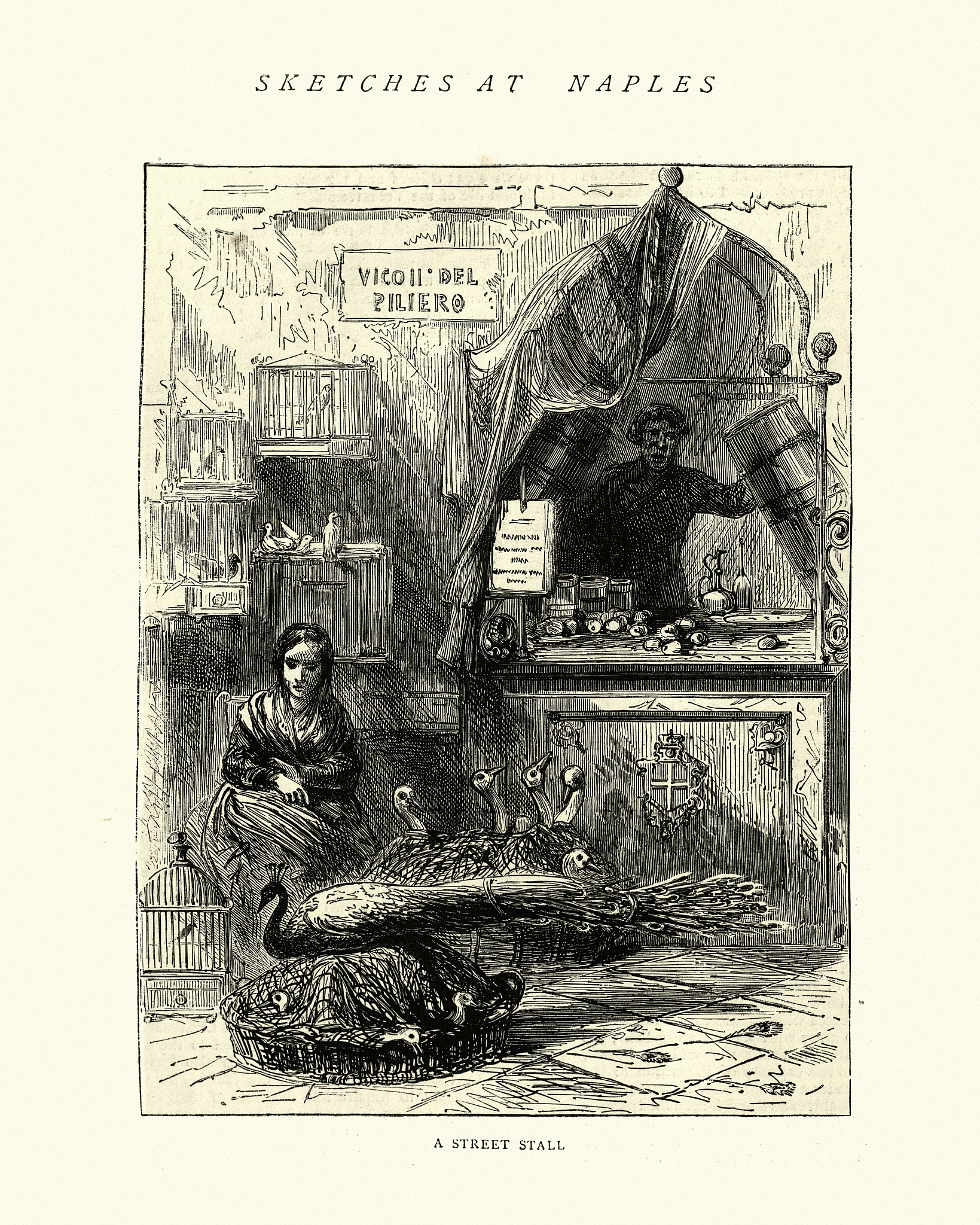 为什么《1984》成为许多人的最爱？