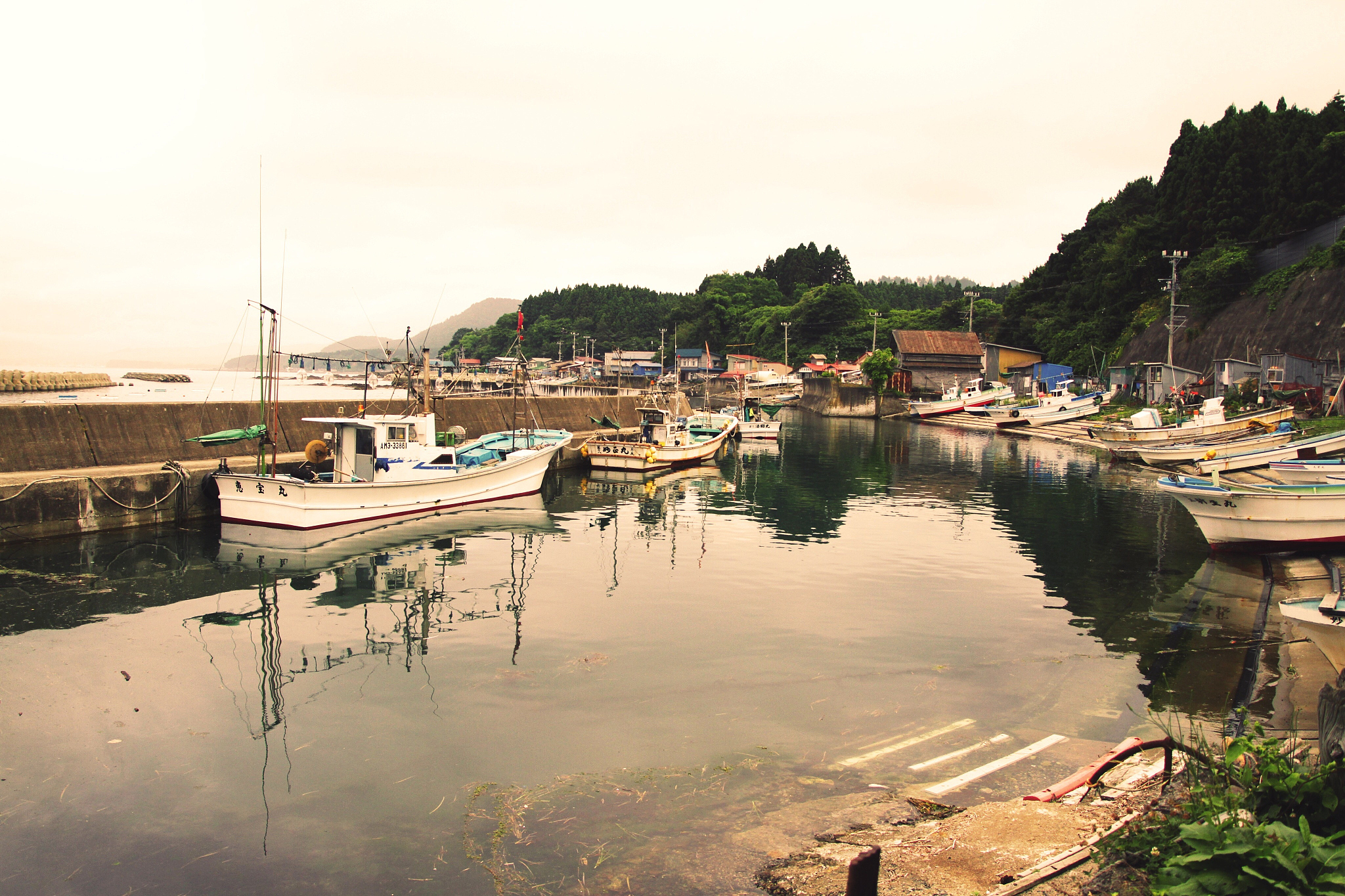 view of fishing boats at harbor