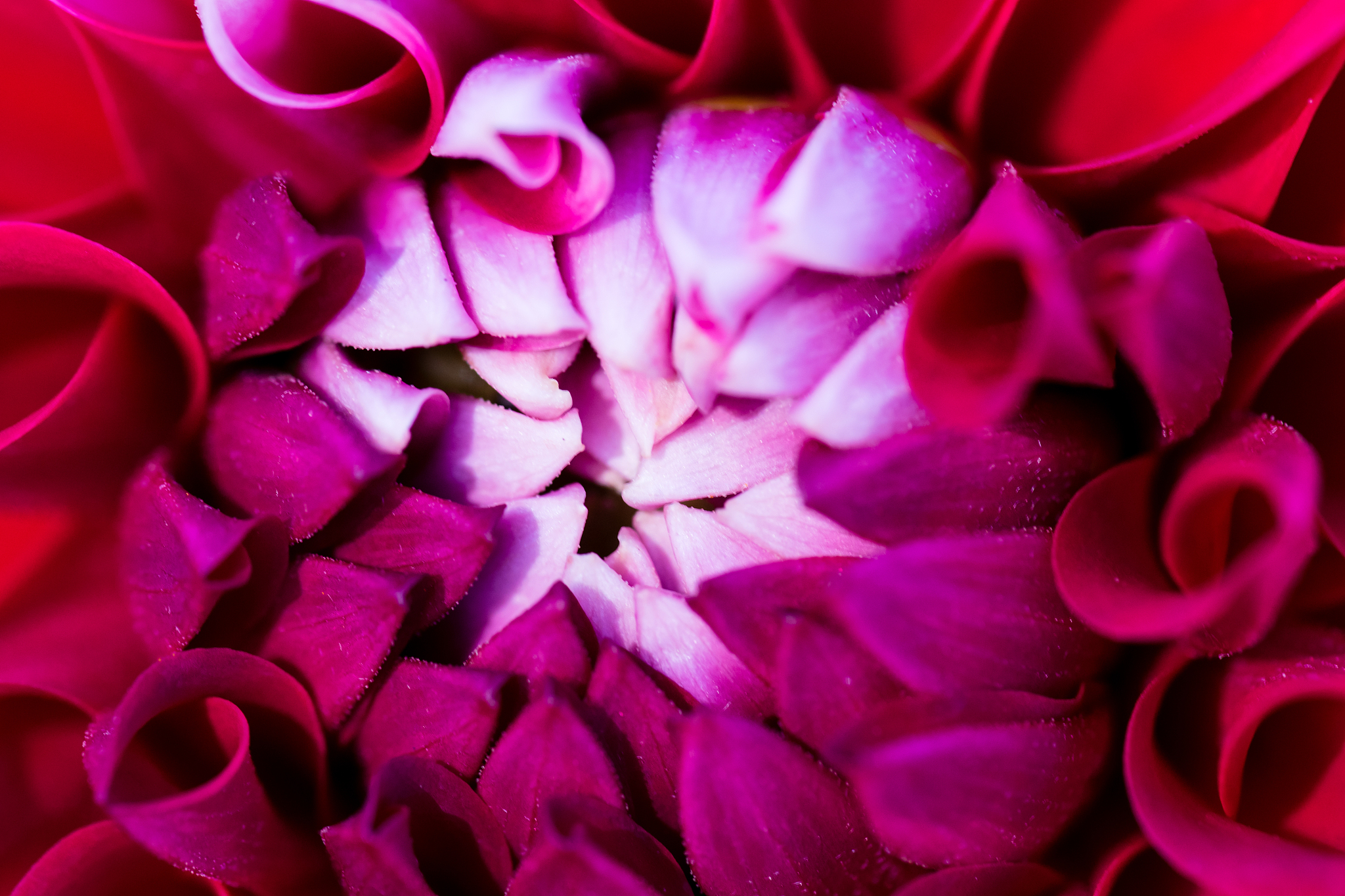 human 连续函数列的极限函数一定是连续函数吗;