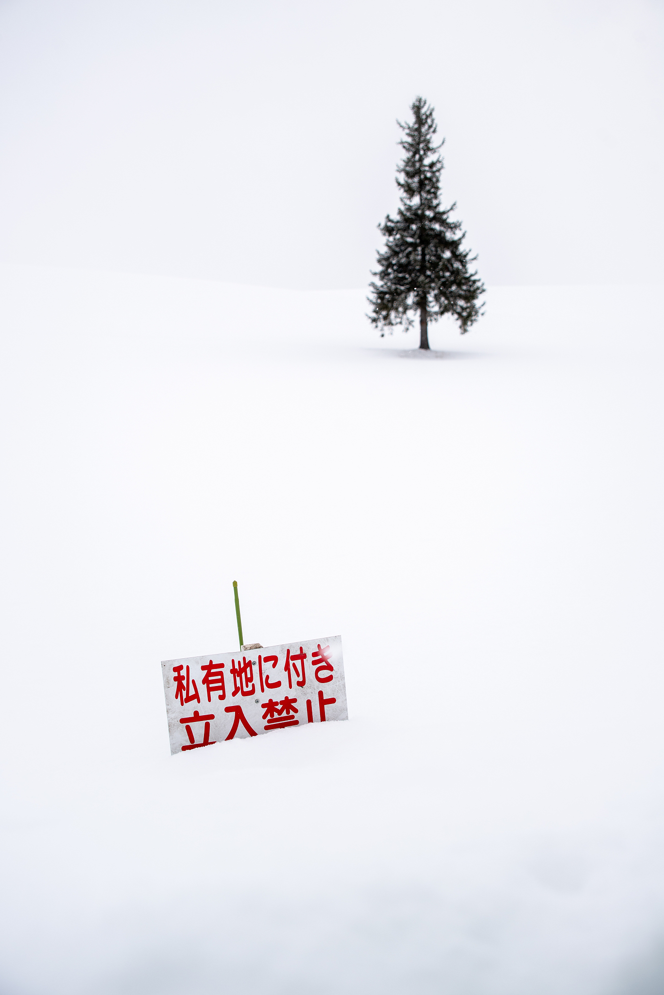 请帮我写1篇650字的博客文章主题是：圣诞节文案简短吸引人句子