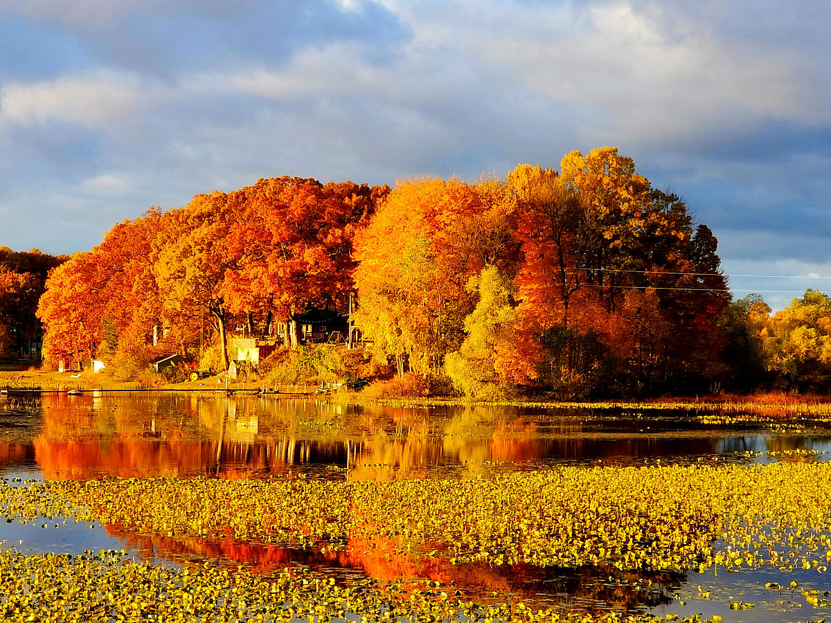 分享在山师遇到的美丽秋景五十字