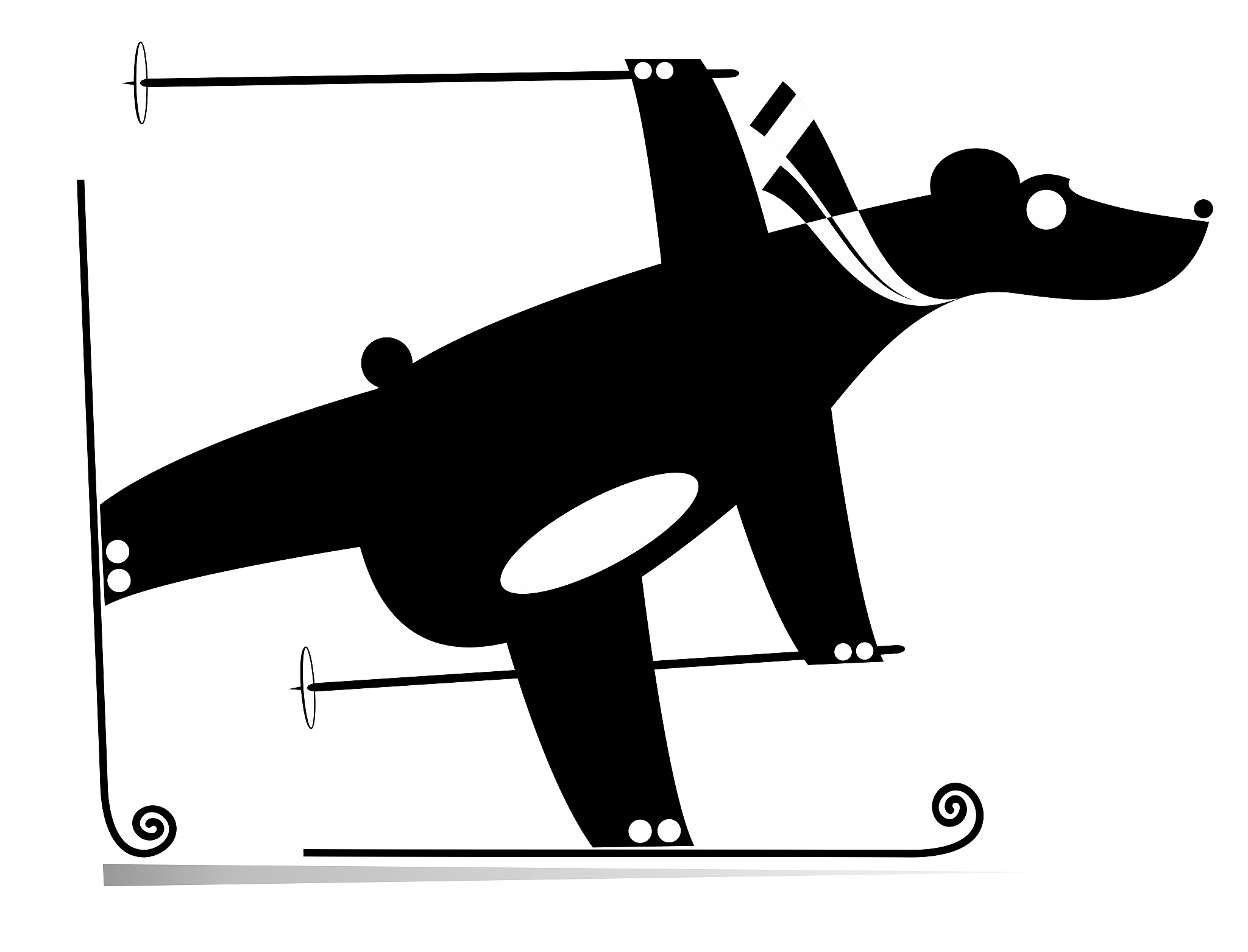 skiing bear black on white illustration