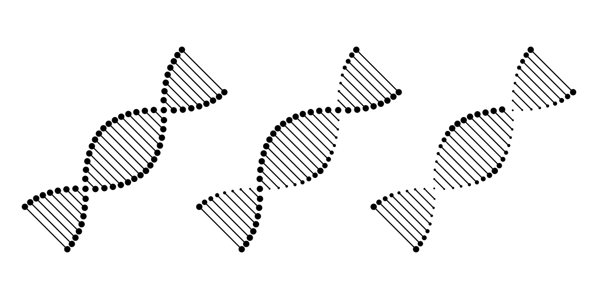 DNA的大沟和小沟