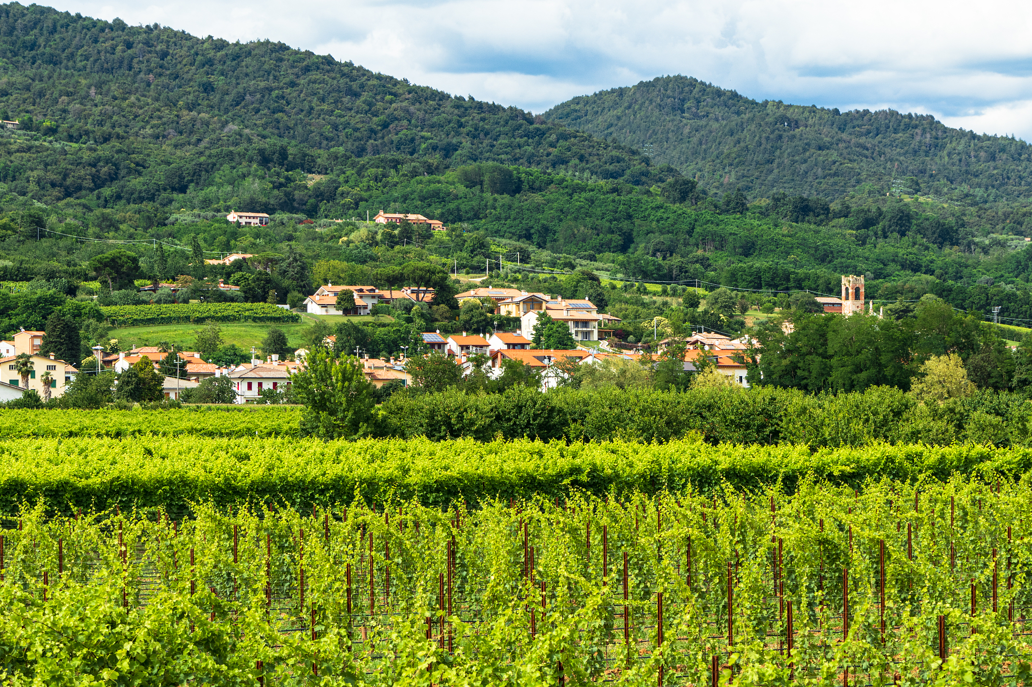 maser -the dorsale del montello seen from the vineyards