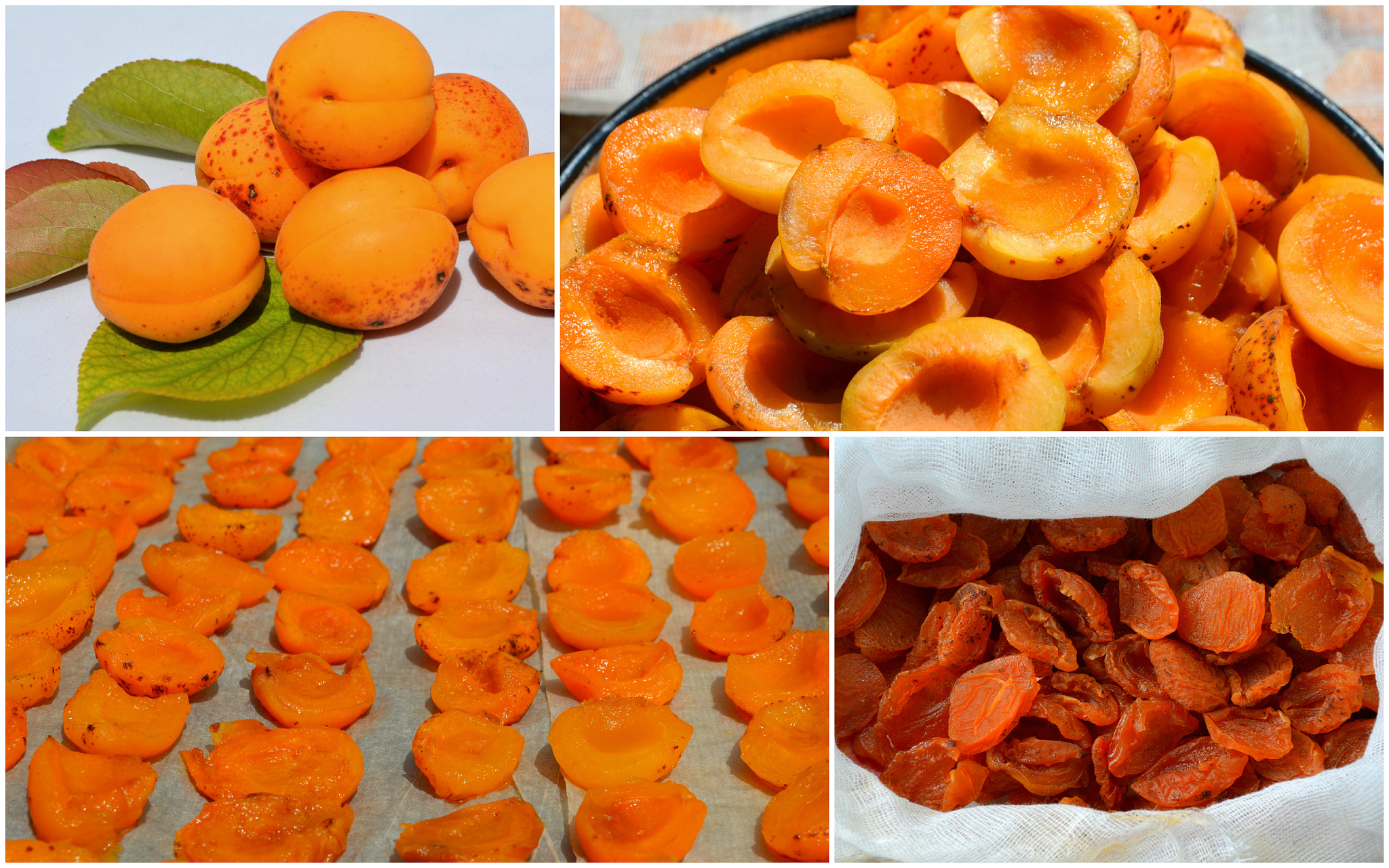 collage of dried apricots. technology of preparation of candied 