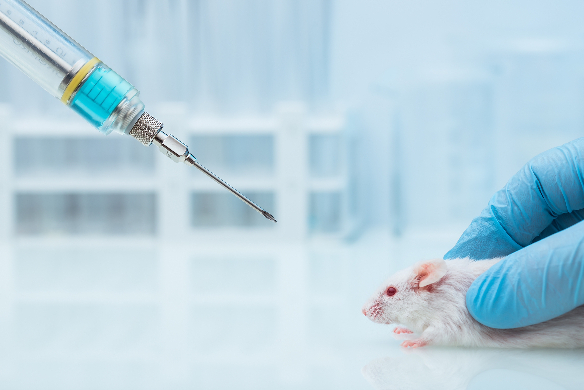 2022年江西中医药大学制药工程专业招生