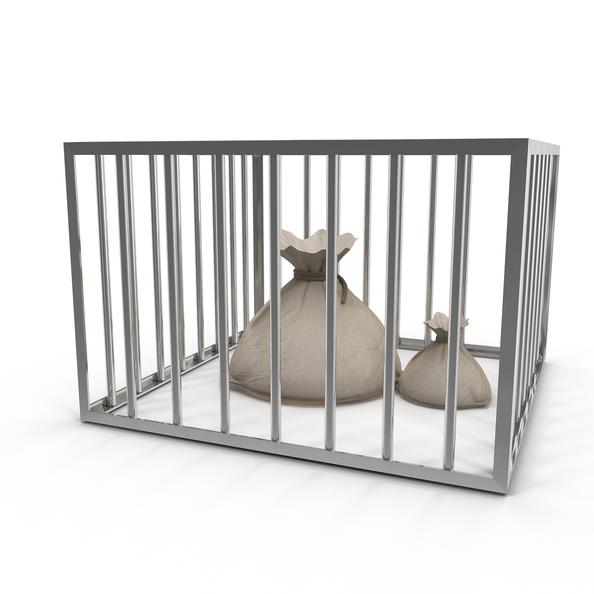 简述迷笼实验过程