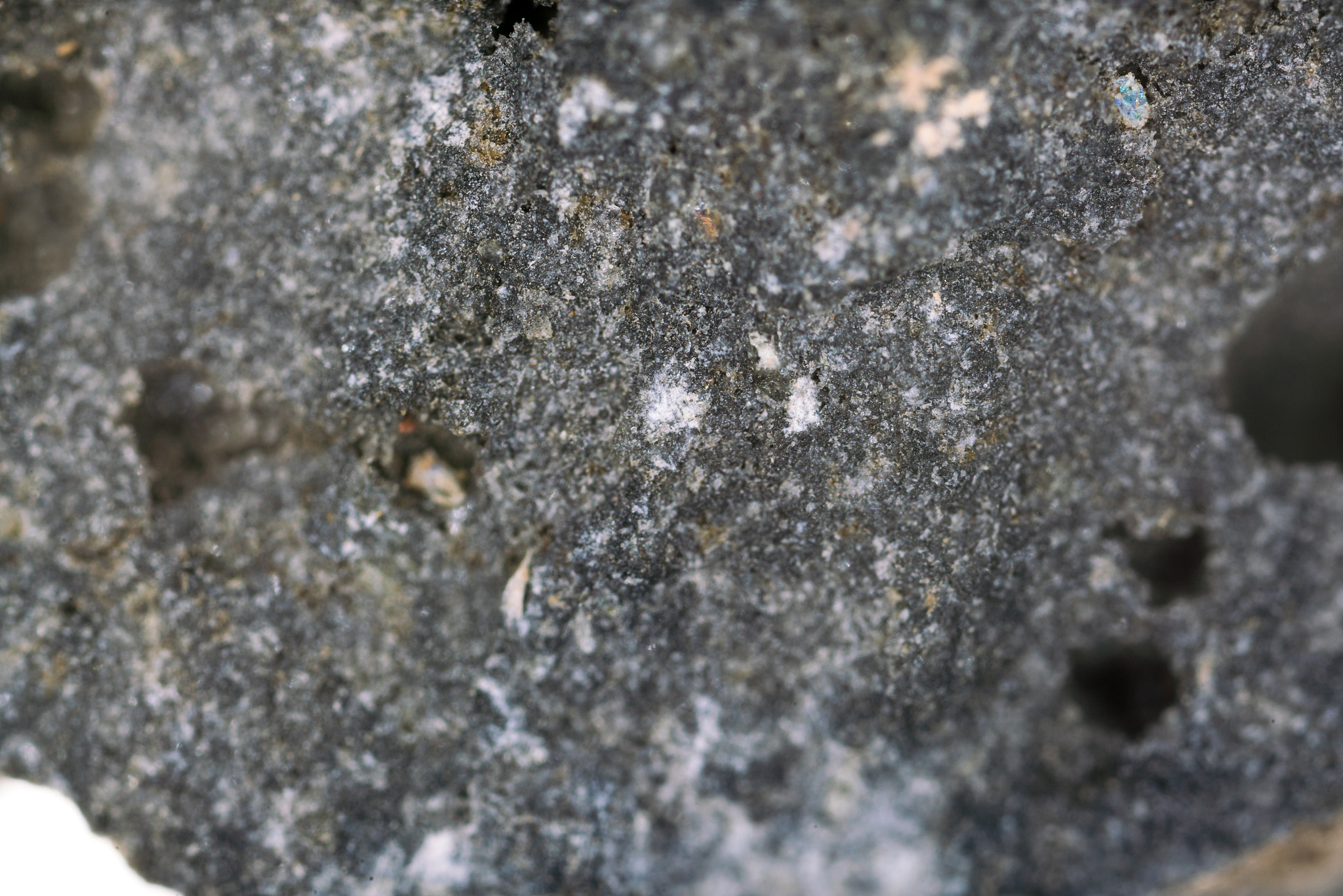 斜长石常发育聚片双晶及卡钠复合双晶