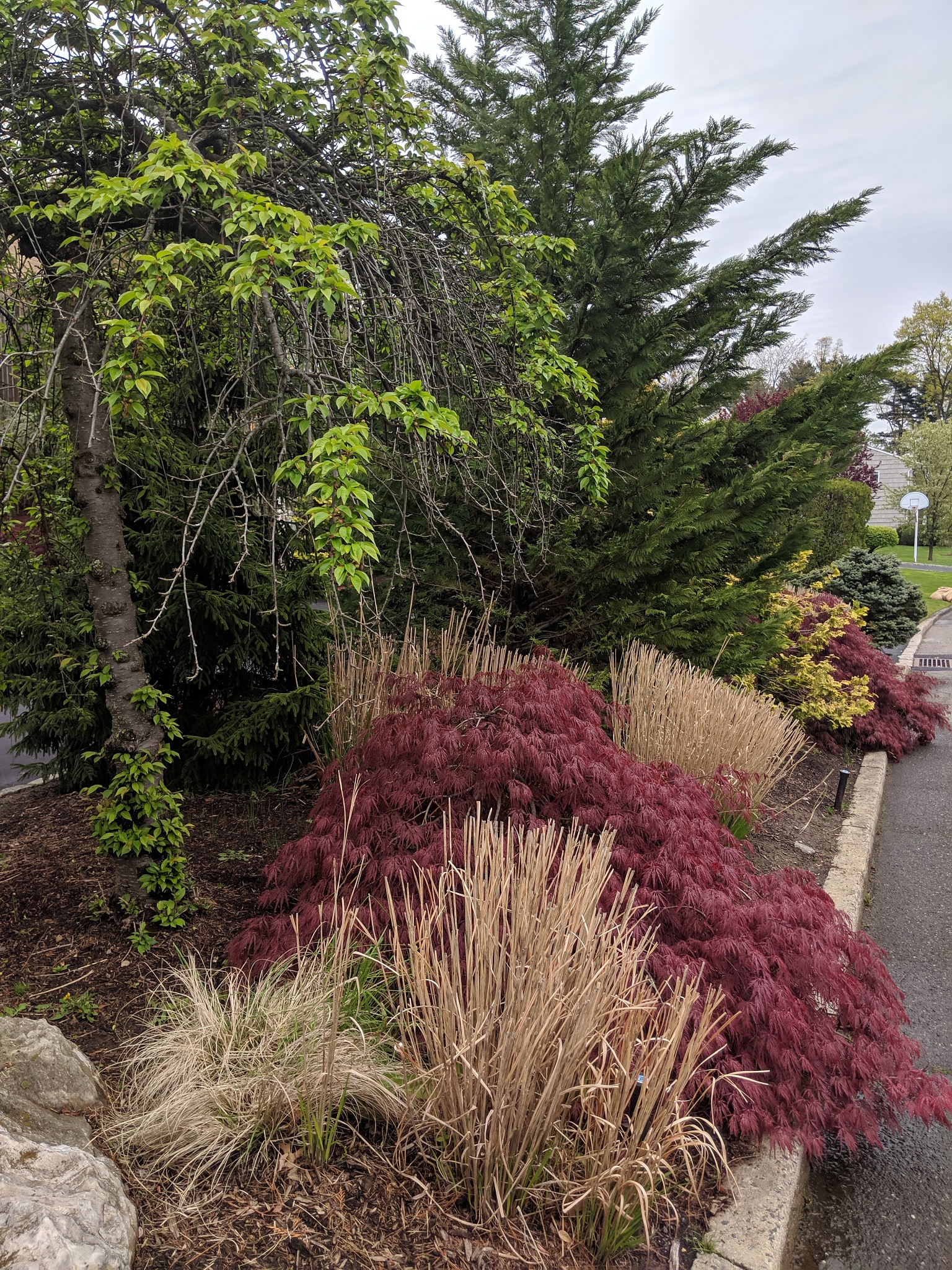 西安市园林技工学校2021年招生专业都有哪些