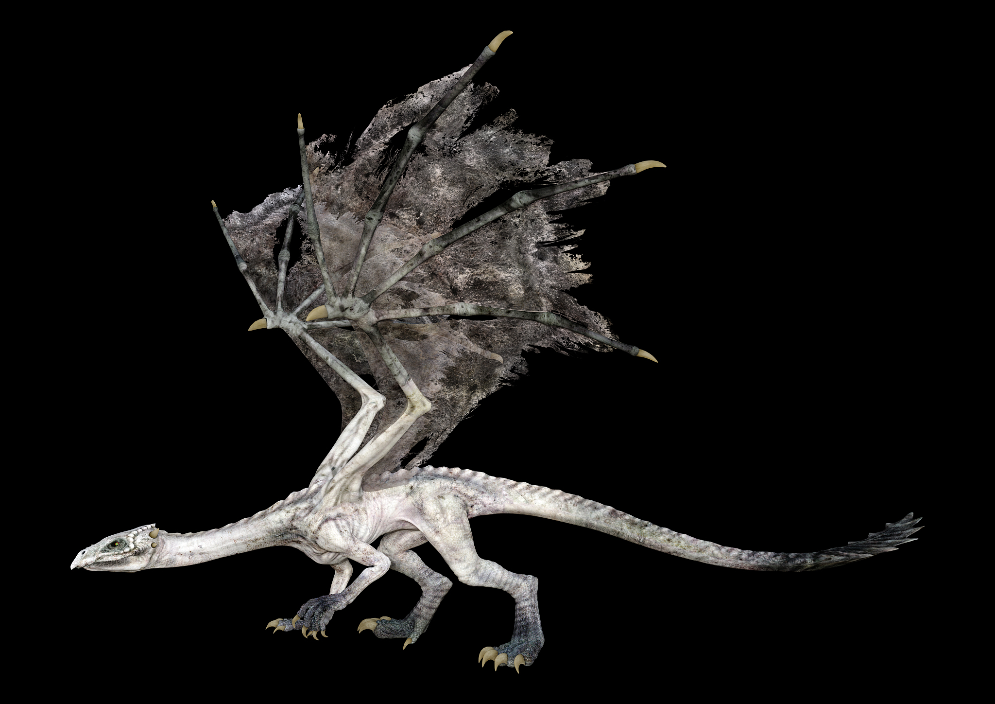 3d illustration fantasy dragon on black