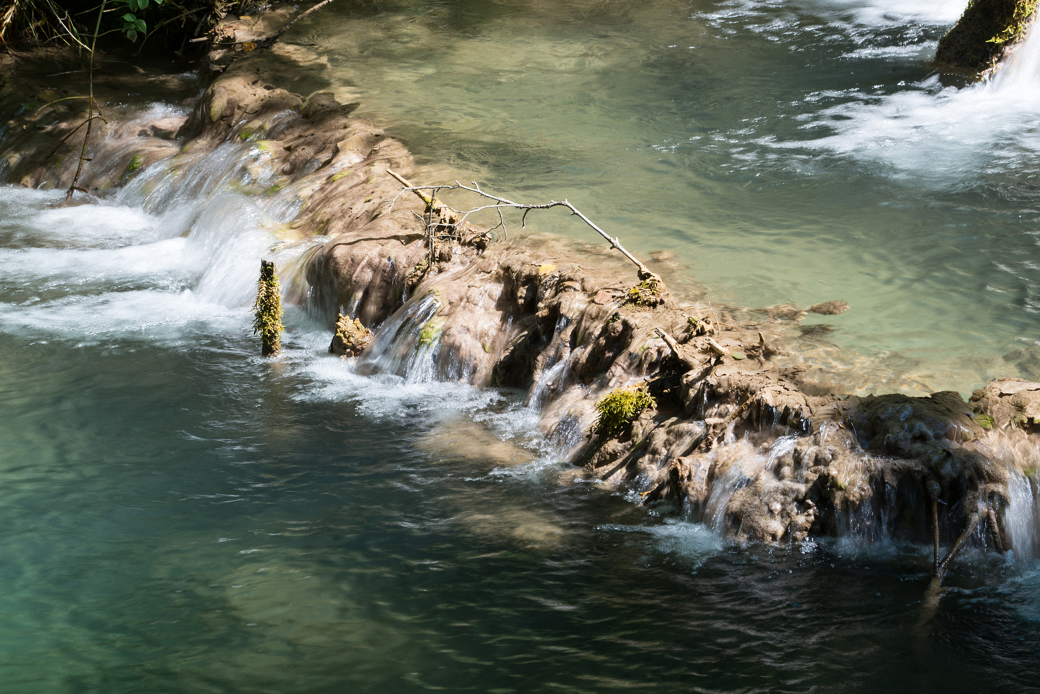 forest stream