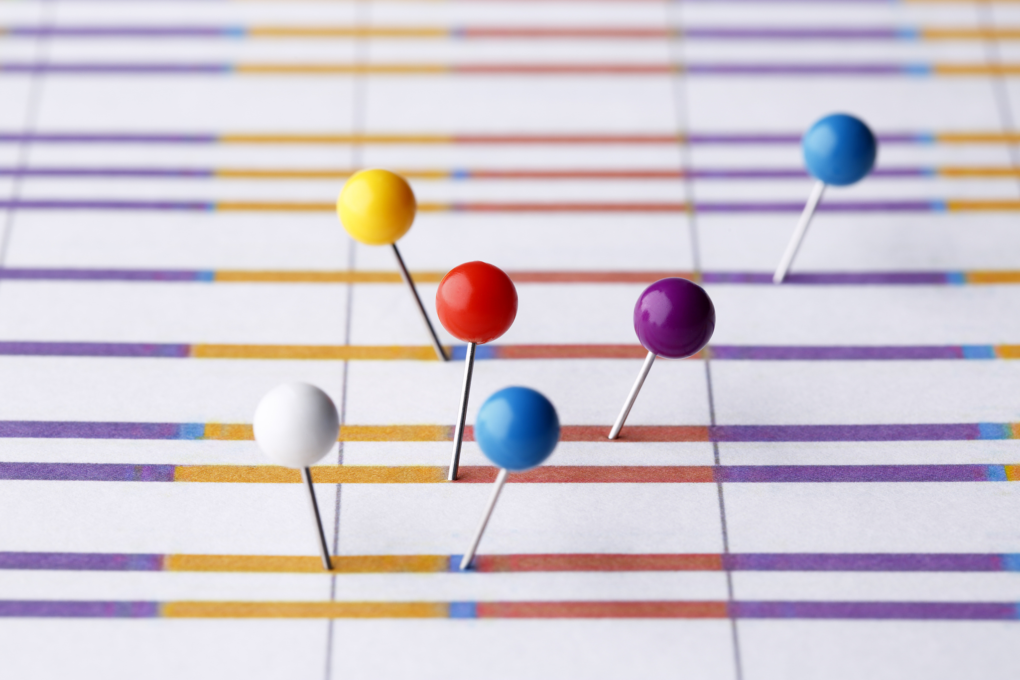 《国际贸易学》课程的作用