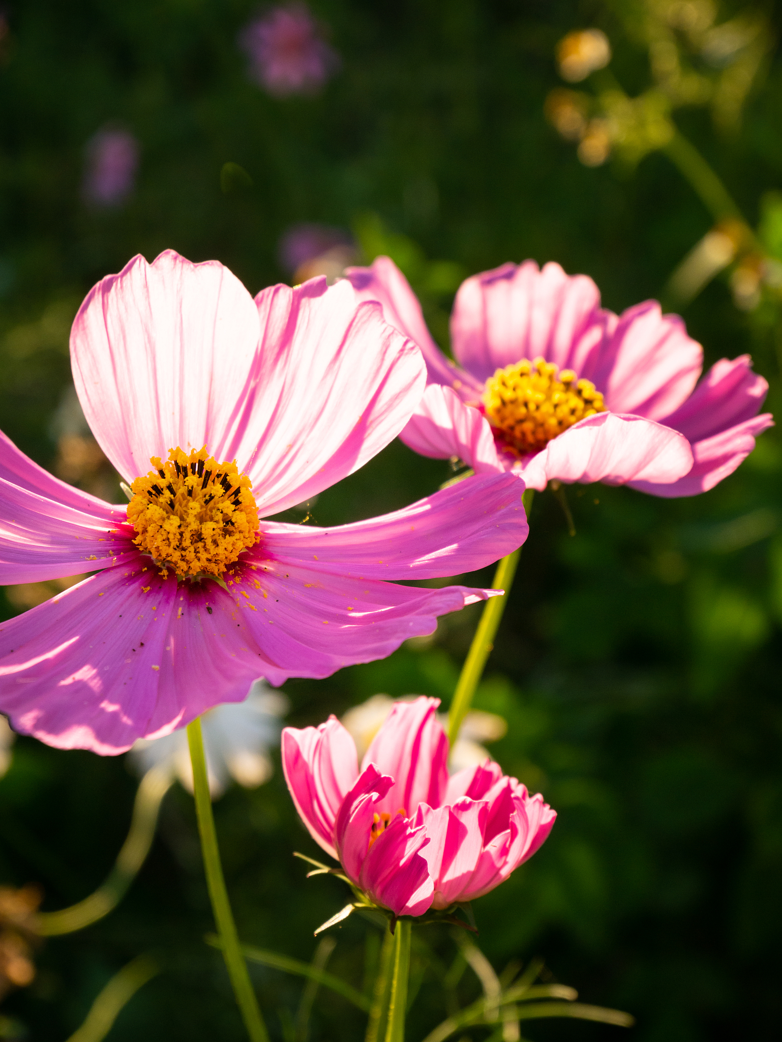 2023年重庆市风景园林技工学校招生简章：培养园林技工的优秀选择