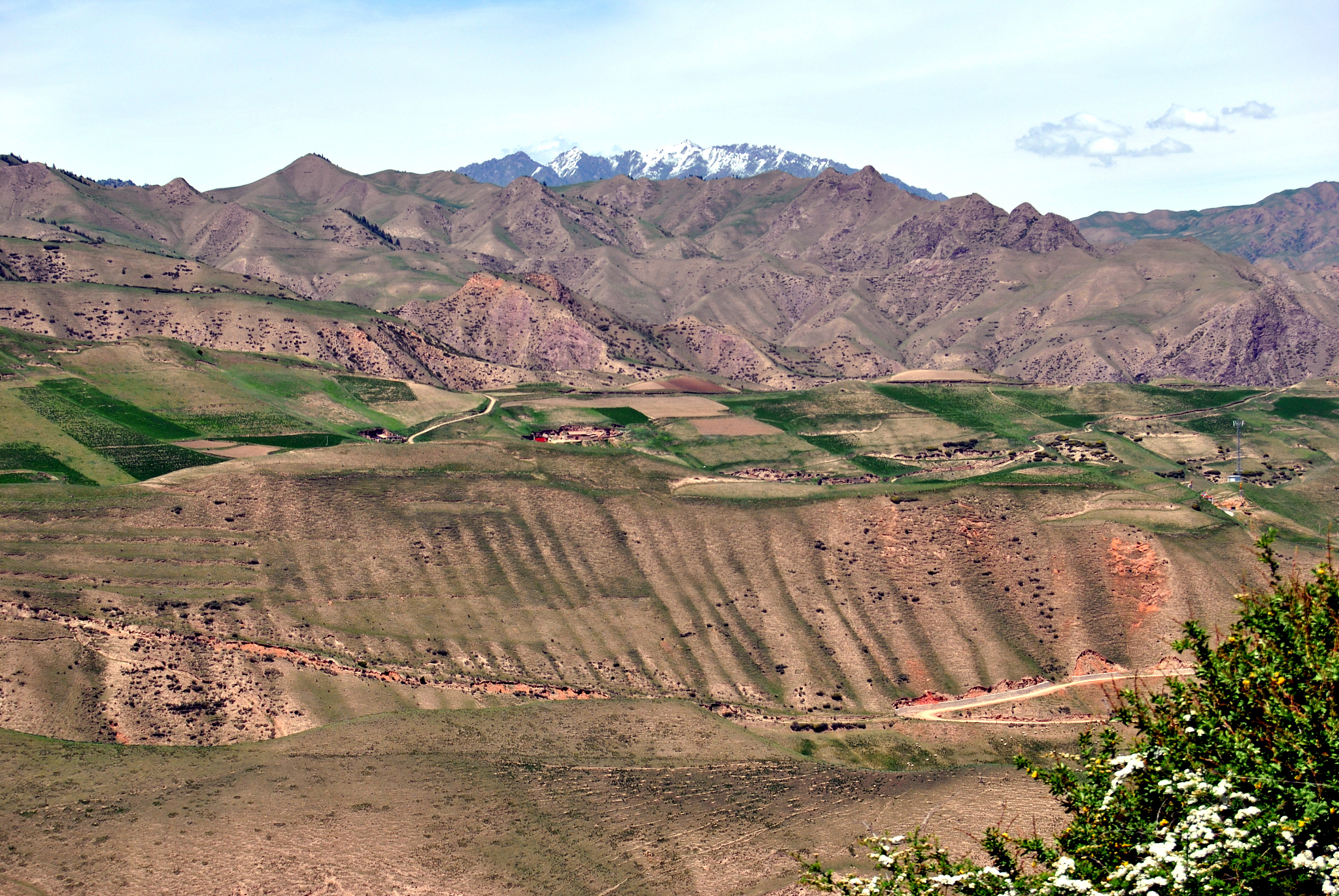 杭州出发河西古道旅行方案：7天深度体验丝路古道