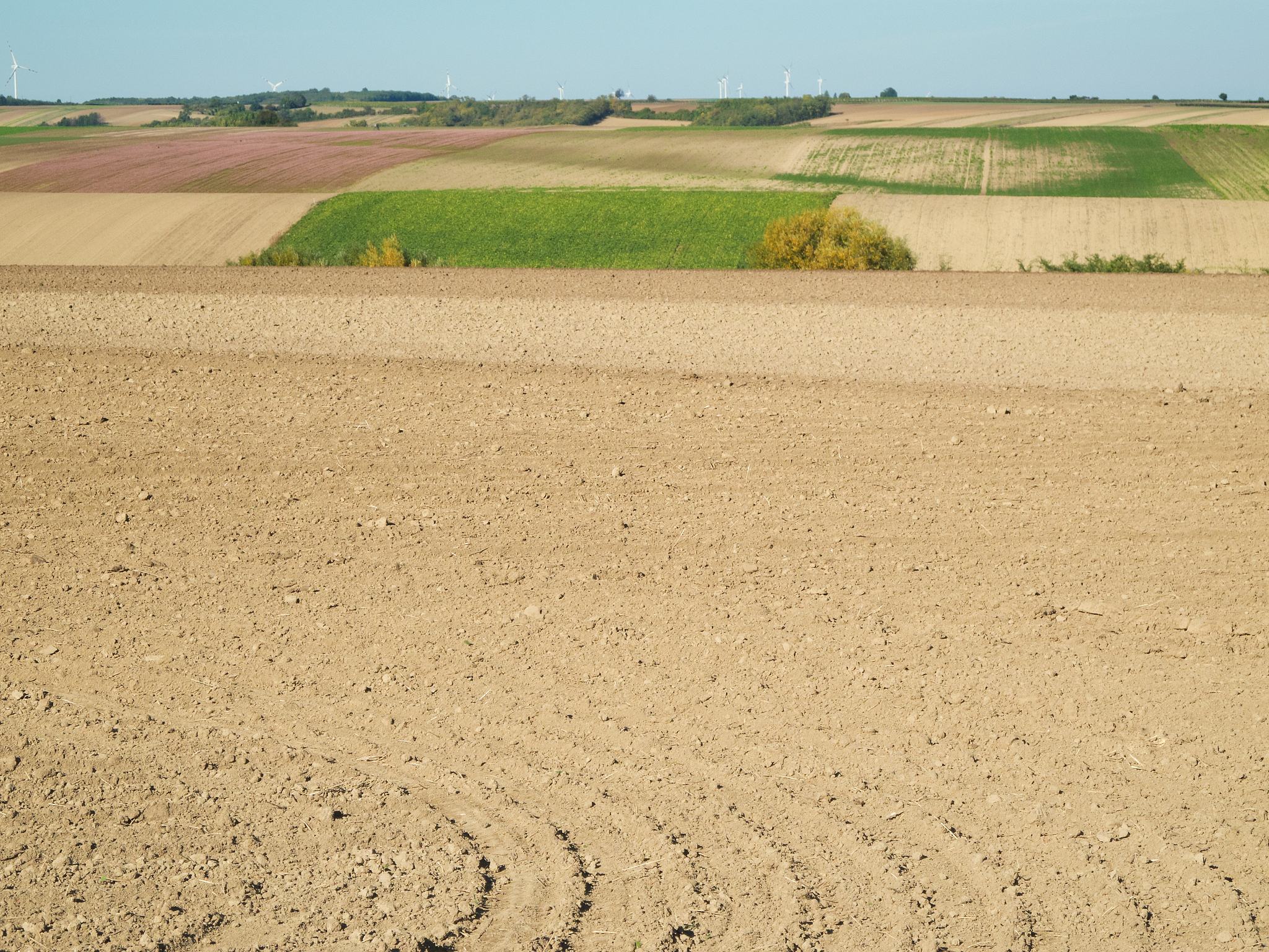 agriculture