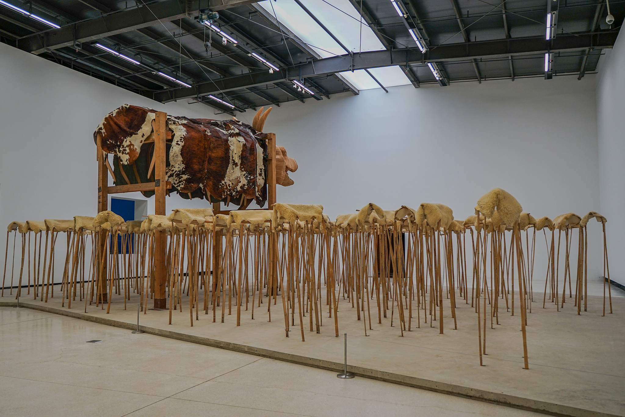 李晓宇 - 杰出艺术家，精雕细琢，引人入胜