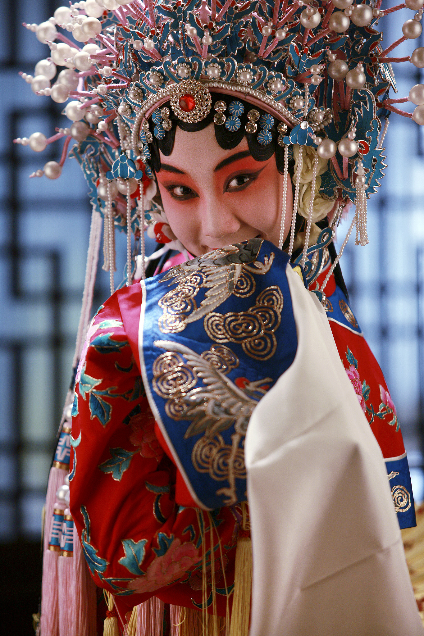 贵妃