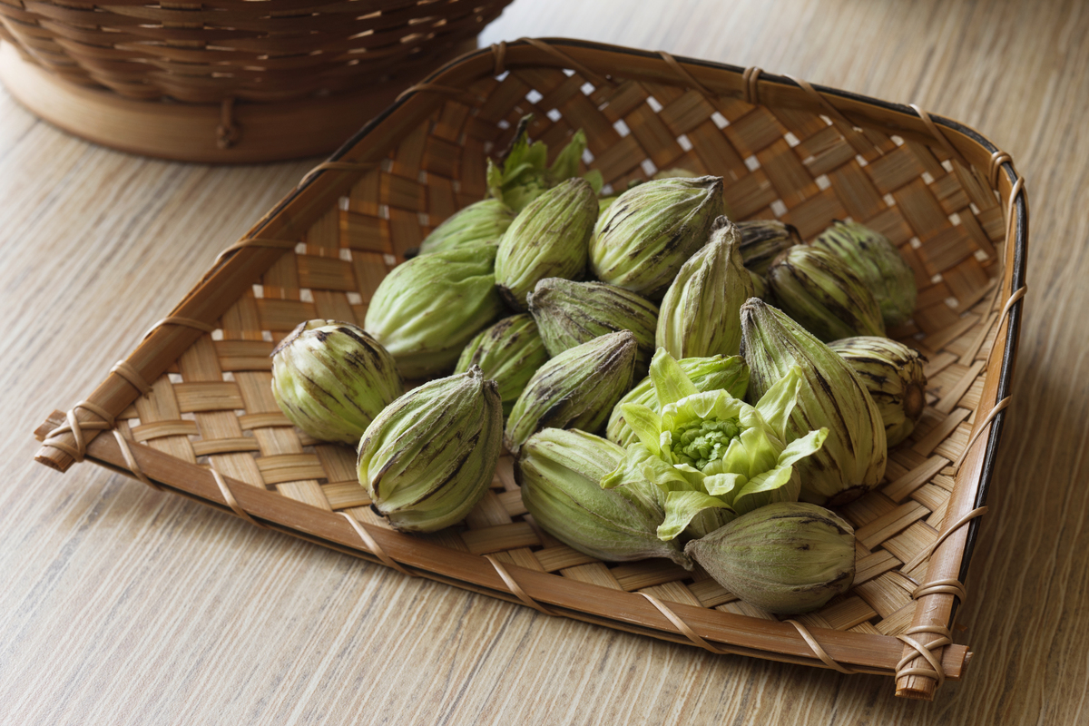 云南苦果的功效和作用