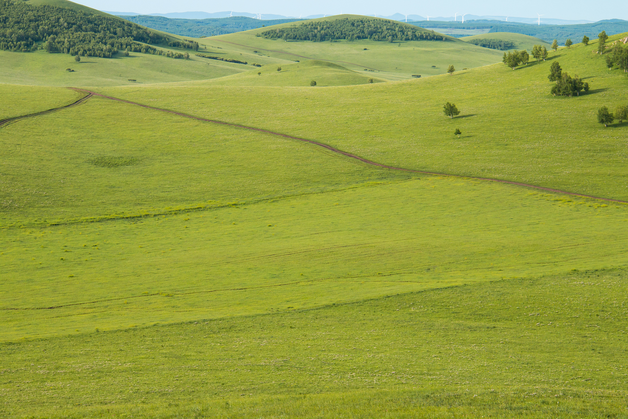 grassland