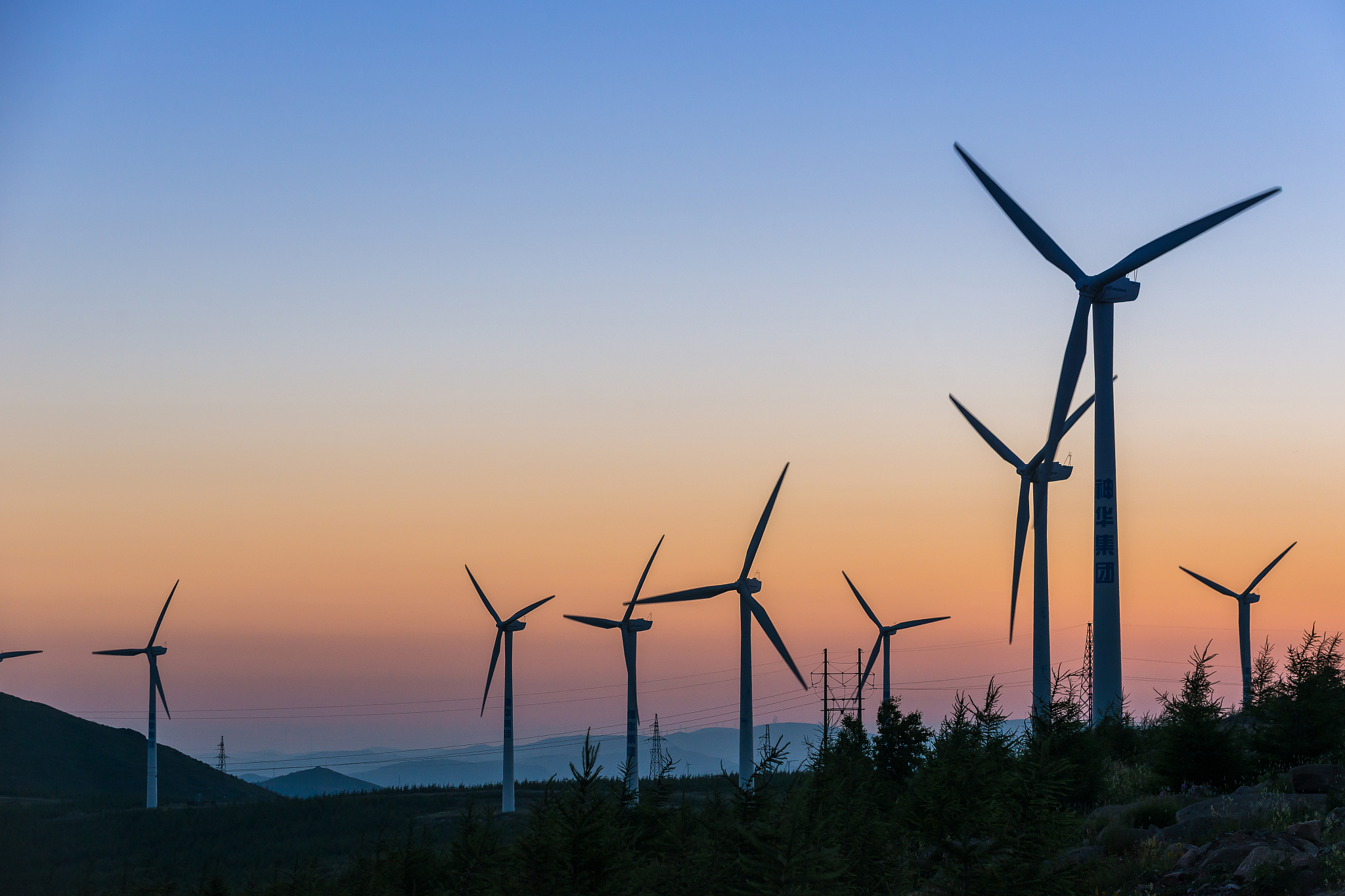 河北旅游职业学院会计电算化专业课程设置及发展前景