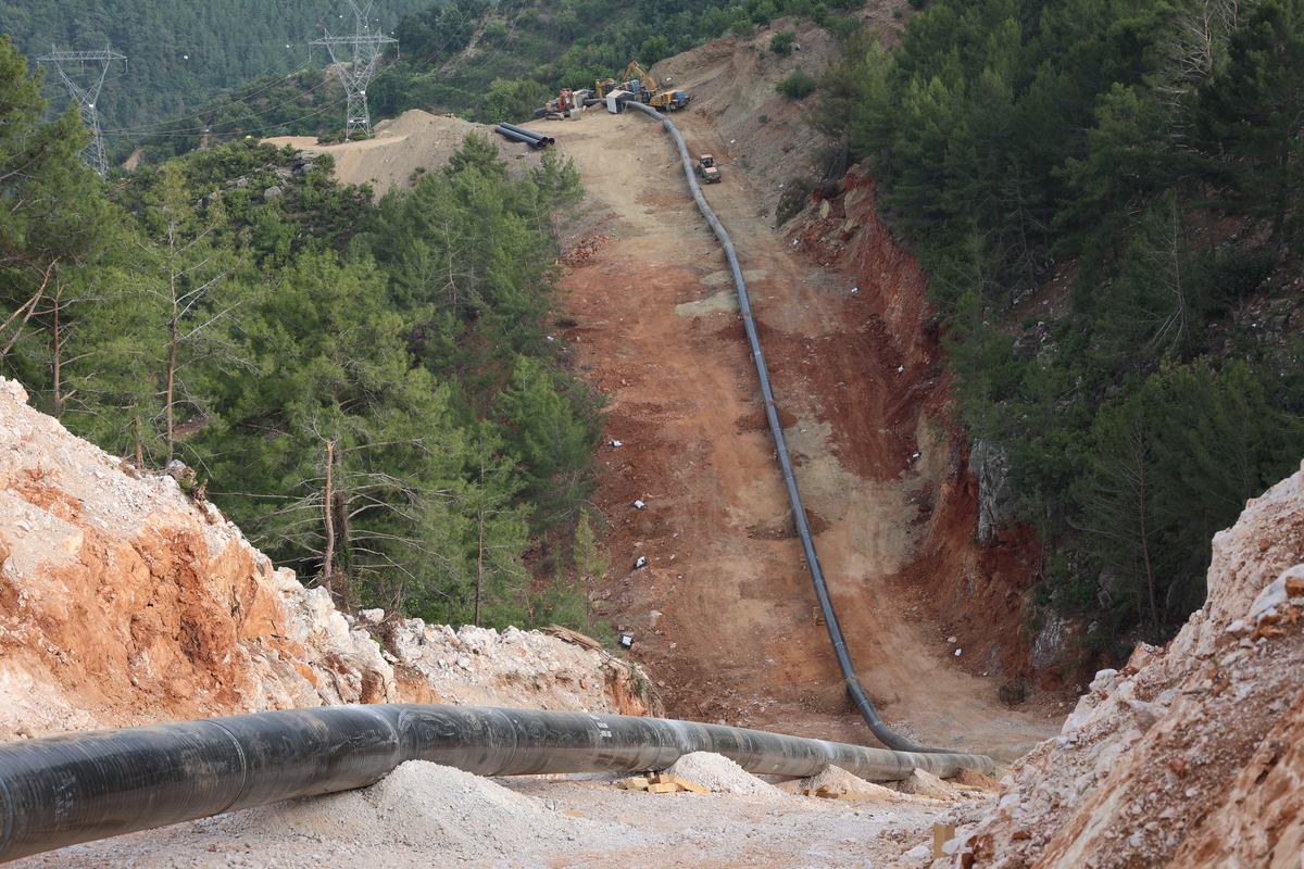 高山隧道施工：红线内占地苗木清点及便道填筑工作顺利完成