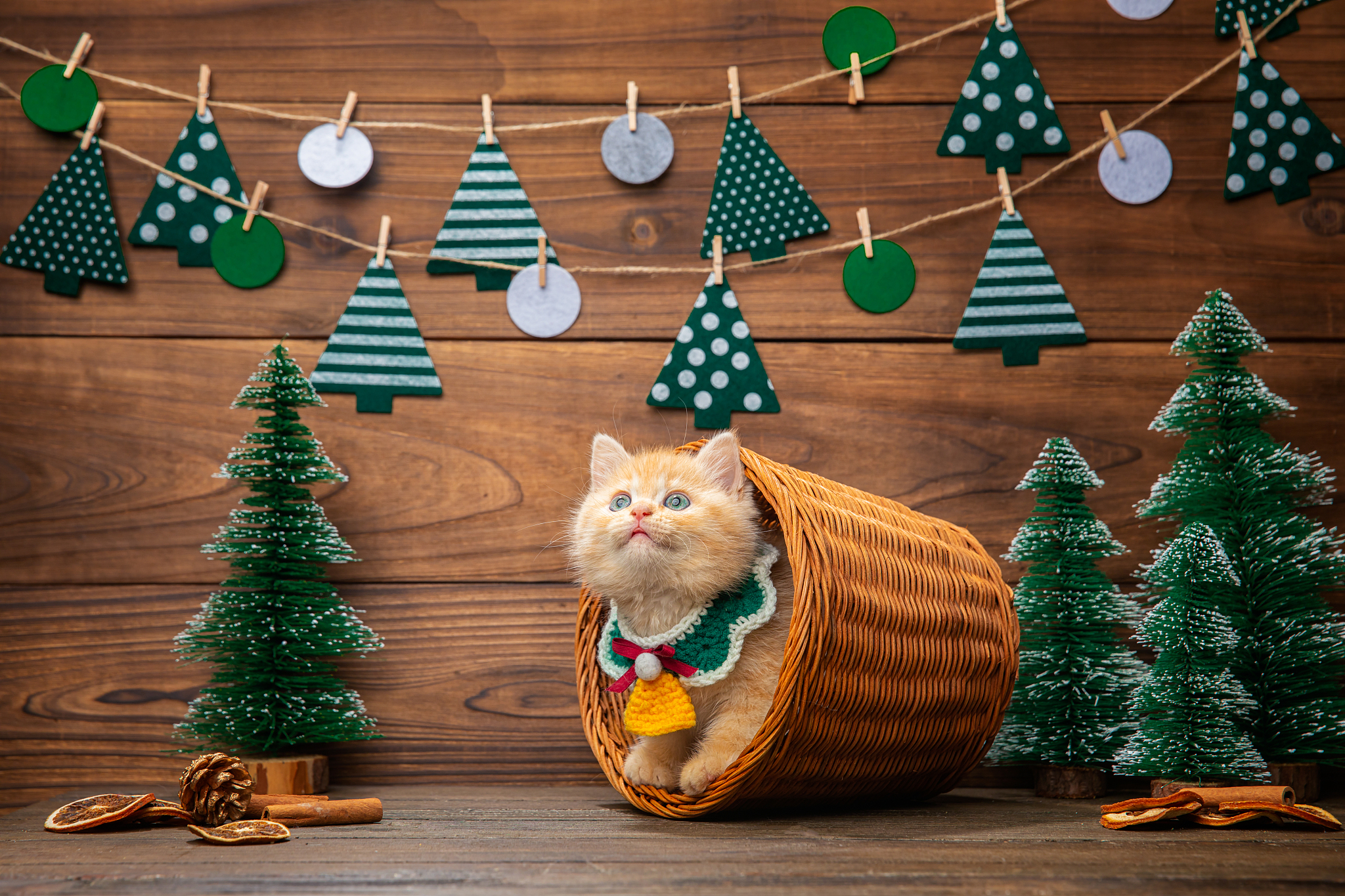 梦幻西游炫酷游戏