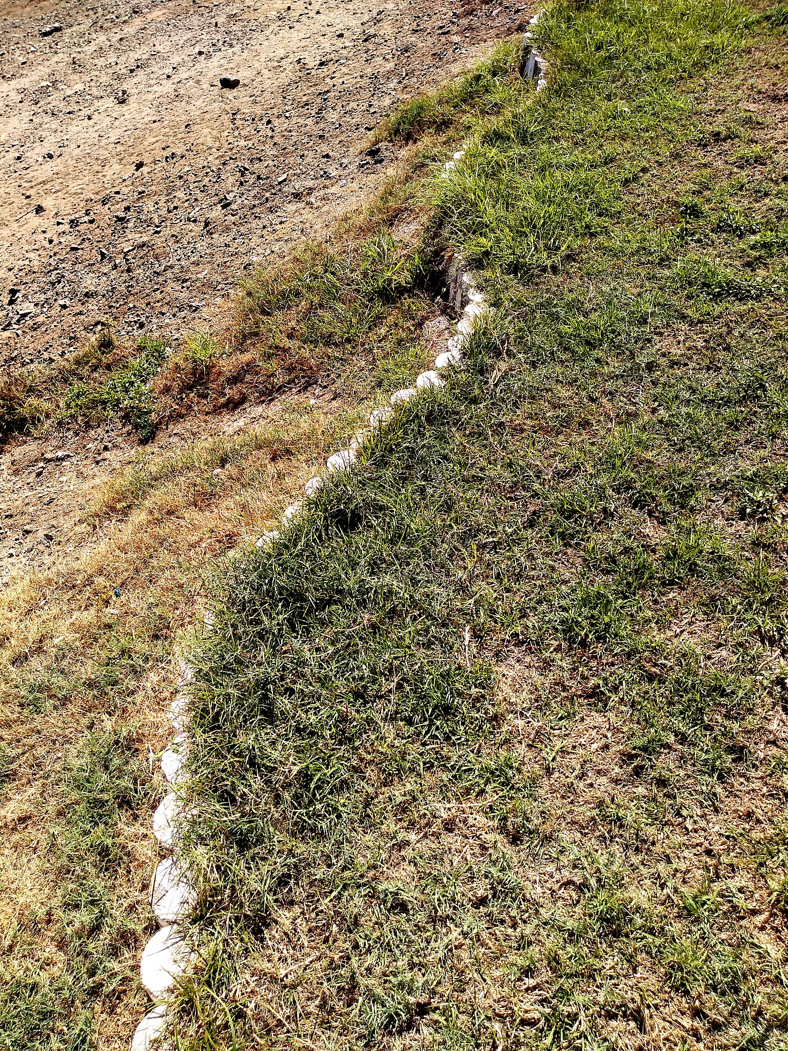 草地等非结构化场景中怎么去除地面