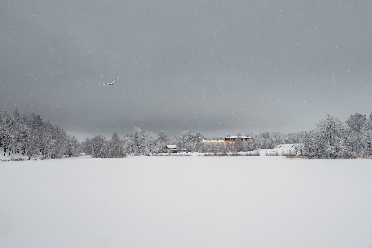 雪夜小径：静谧之美，心灵之境