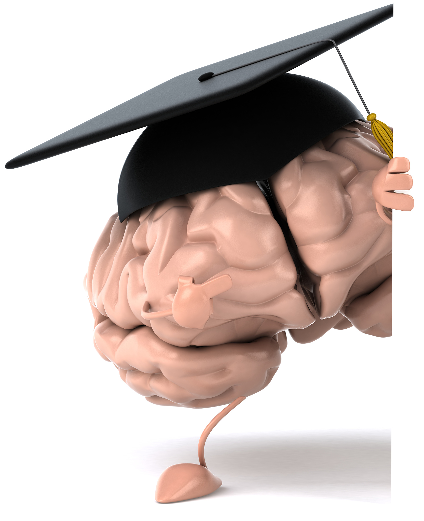 学生信息管理系统的功能模块