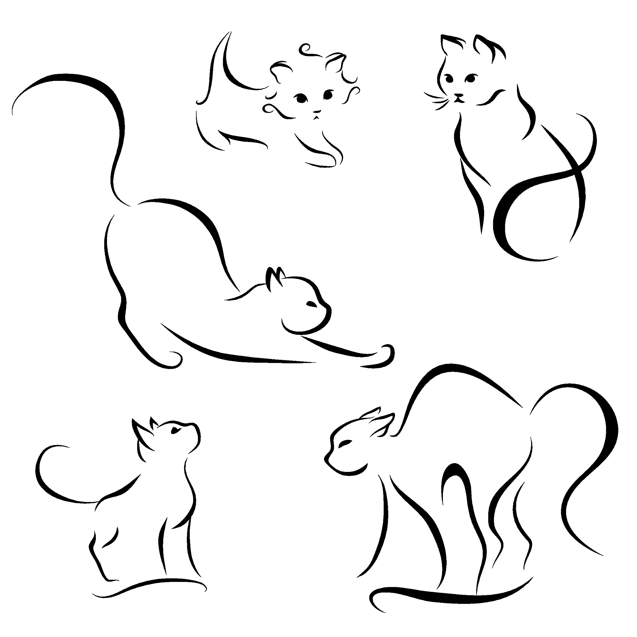 Draw a cat using SVG, just show me an example