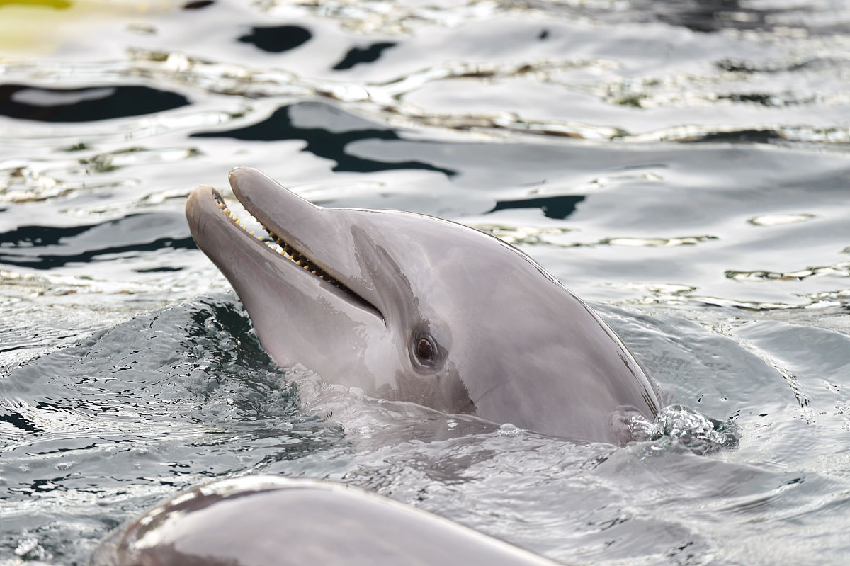 说一些有趣的科学