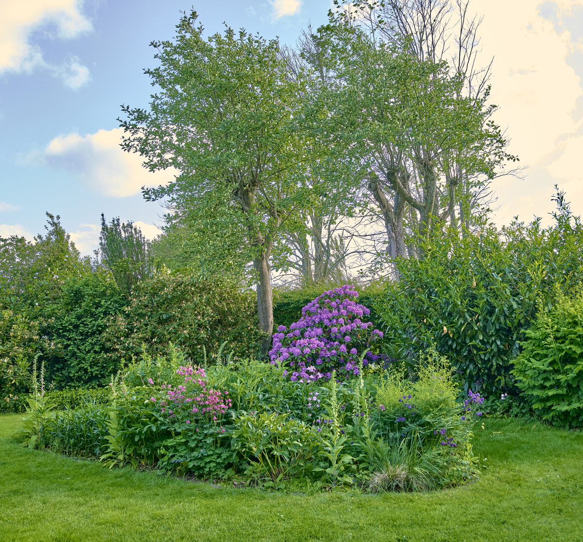 国内外园林植物应用对比：差异与不足
