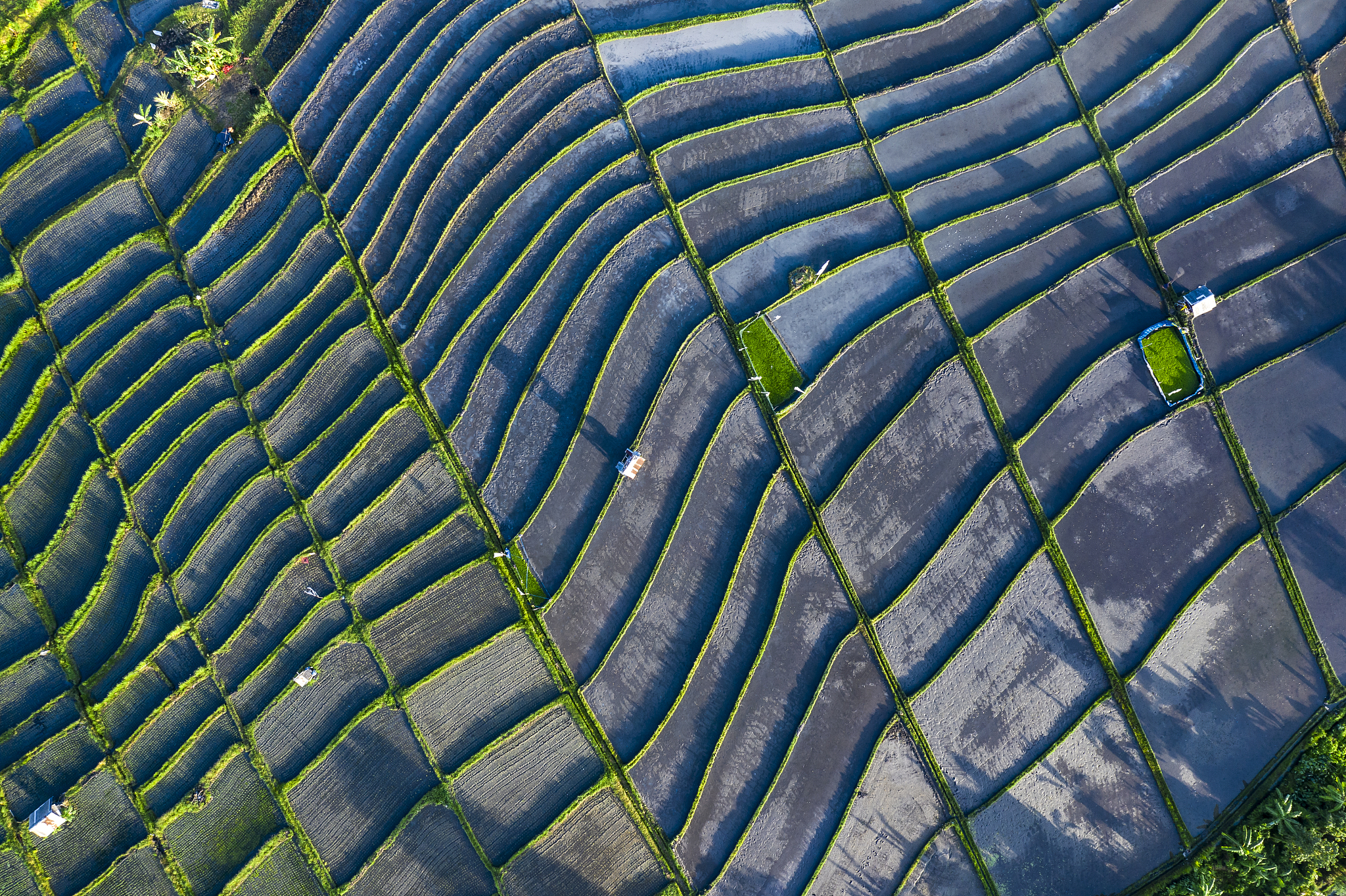 重庆市农业机械化学校2019年平面设计专业招生简章