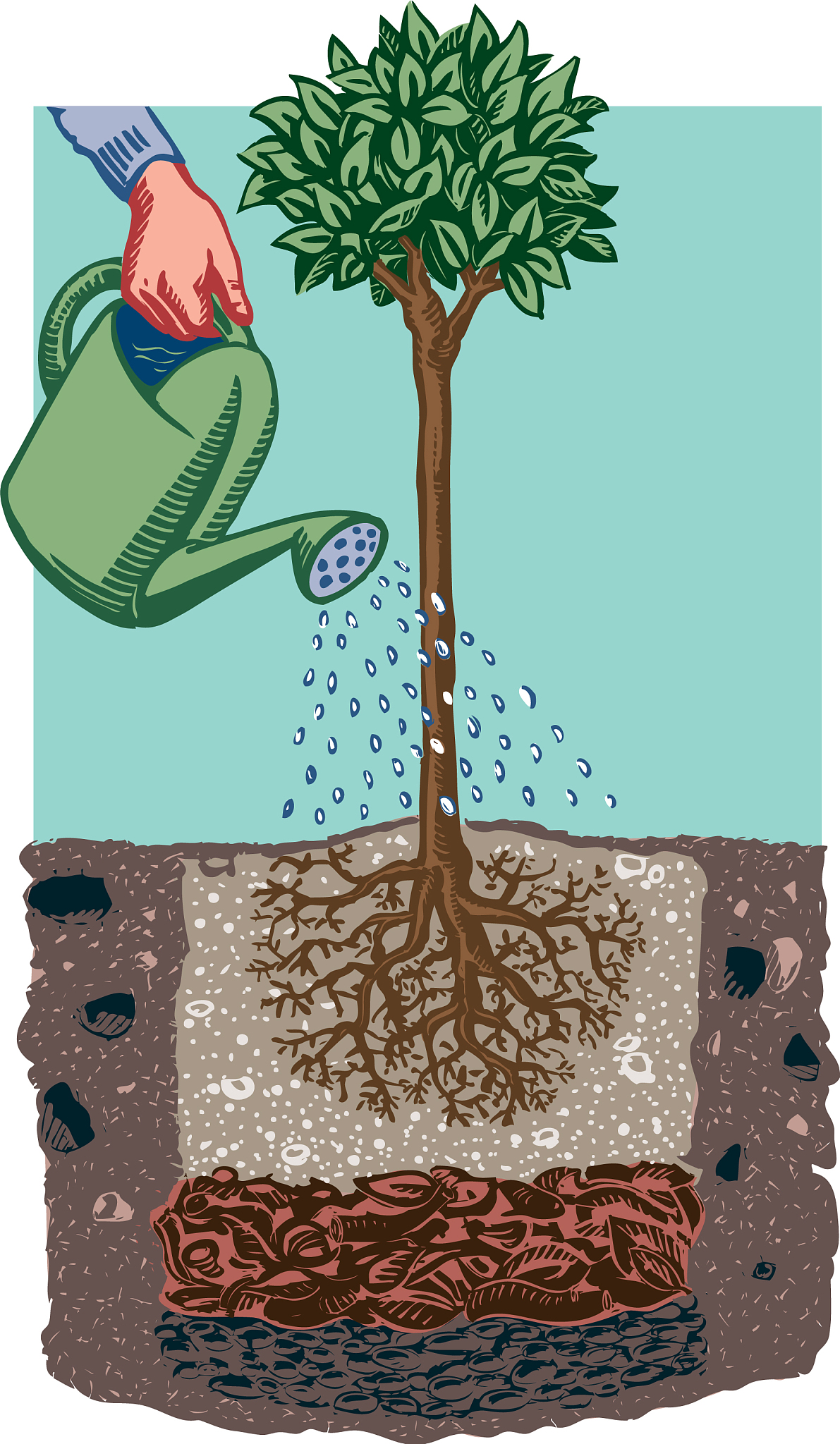 可提取氮和全氮的区别