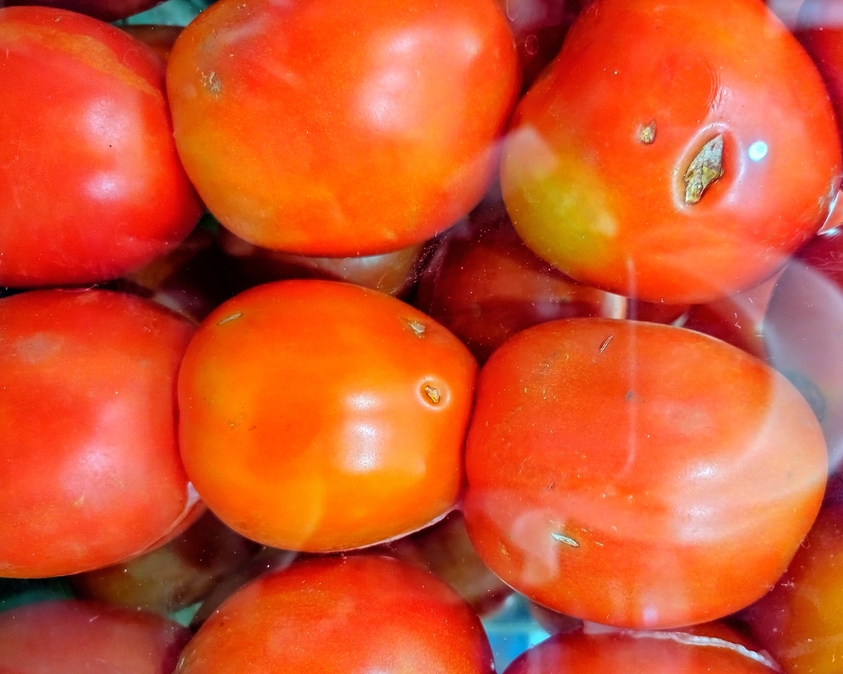 俄罗斯的超市中有一种番茄是短长的而不是圆形的这是一种什么番茄？他和普通圆形番茄有什么区别？