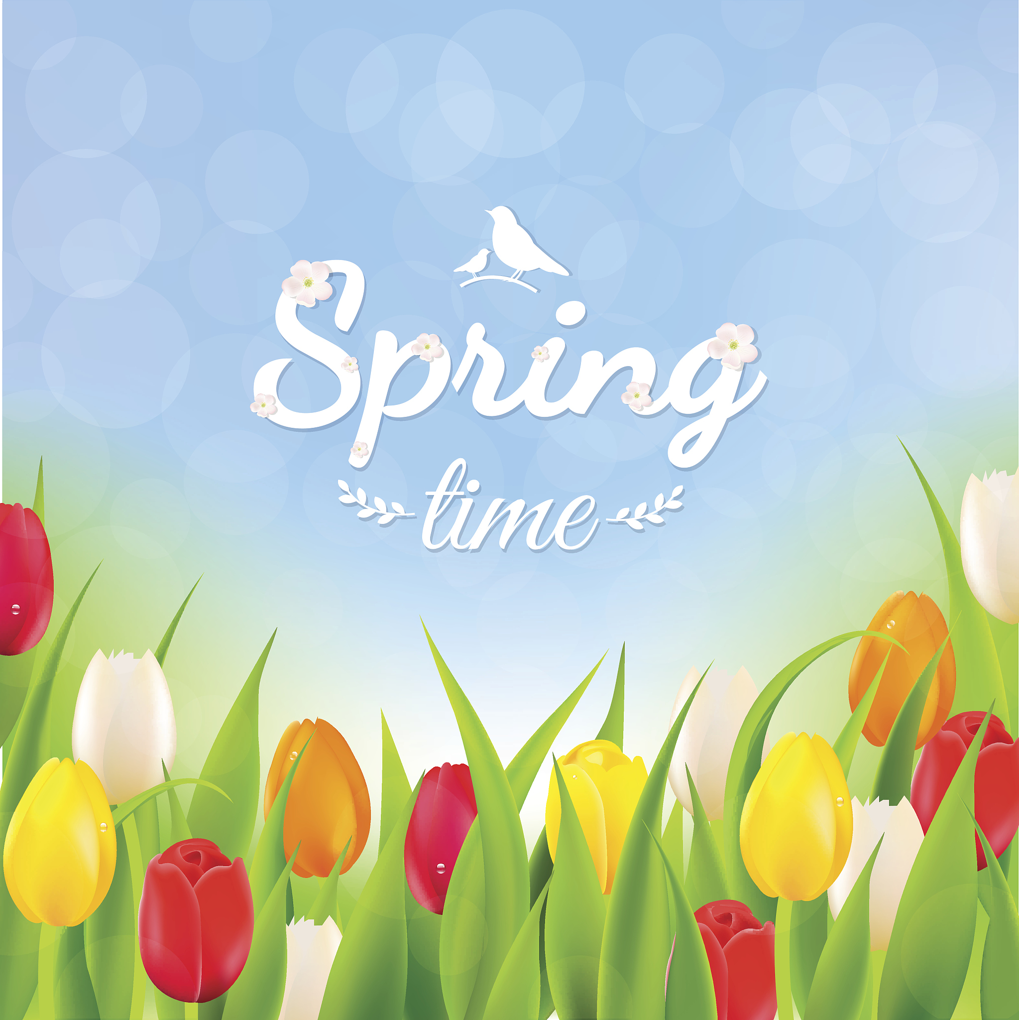 写一篇关于春天的英语文章