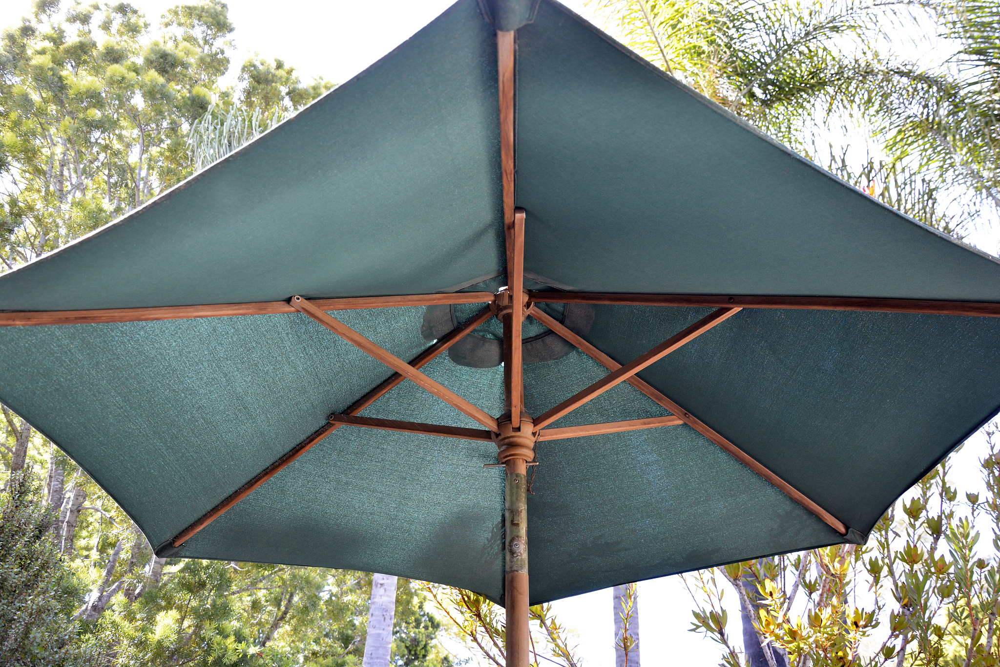green parasol
