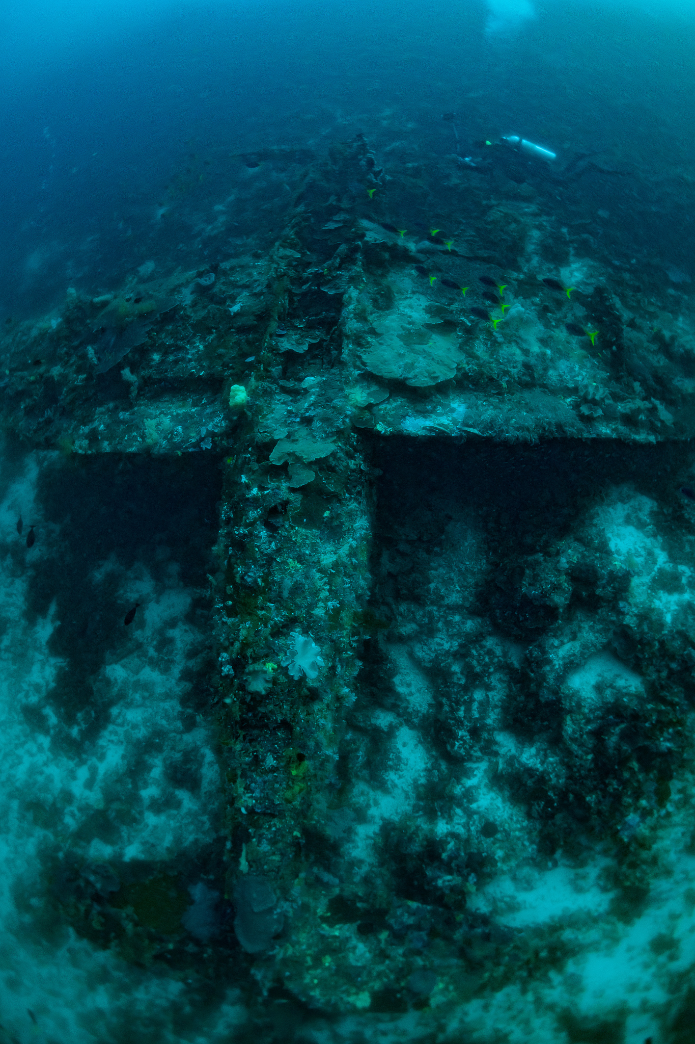 wreck of plane us airforce p-47 thunderbolt upside down on a cor