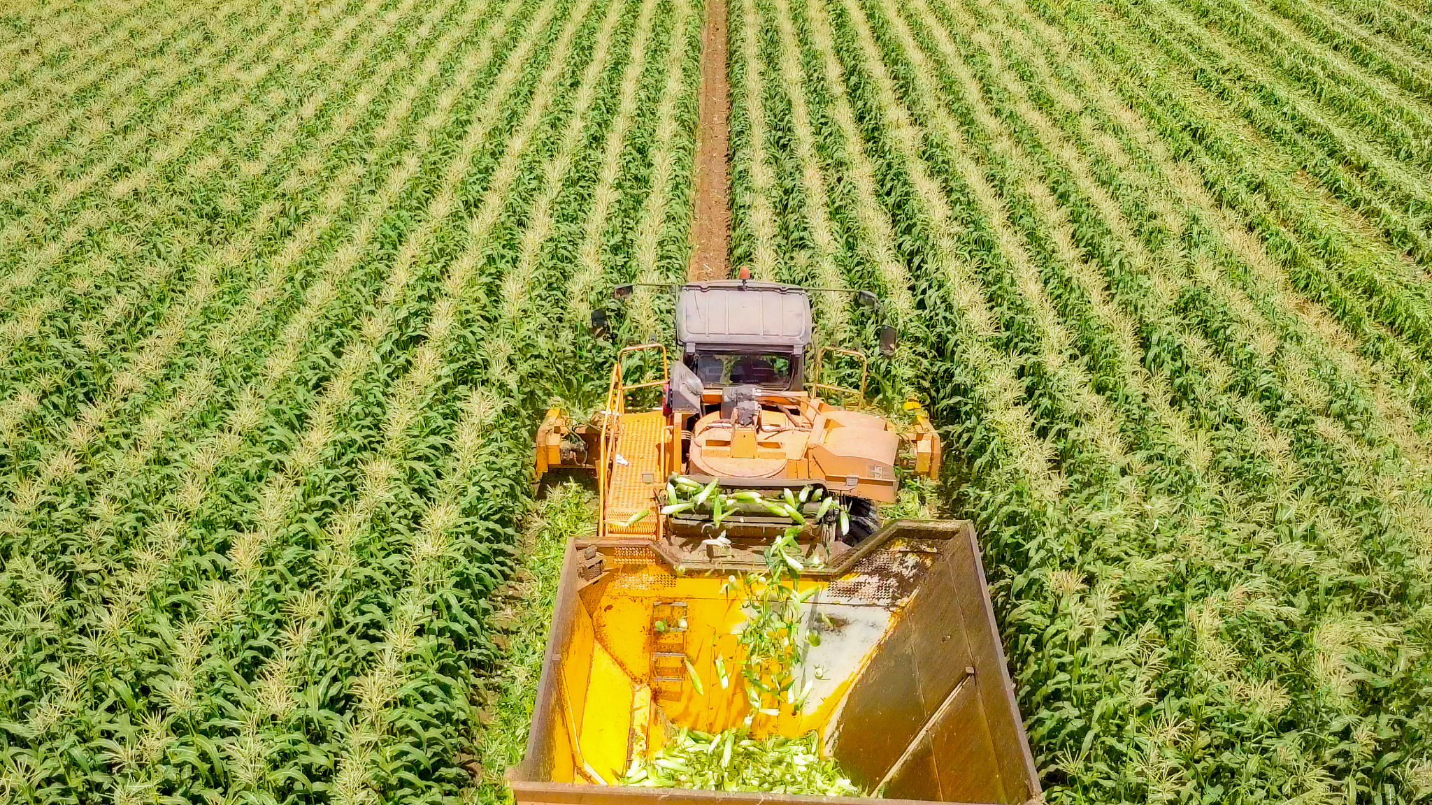 曲靖农校2019年五年制大专特色招生专业 - 培养现代农业人才