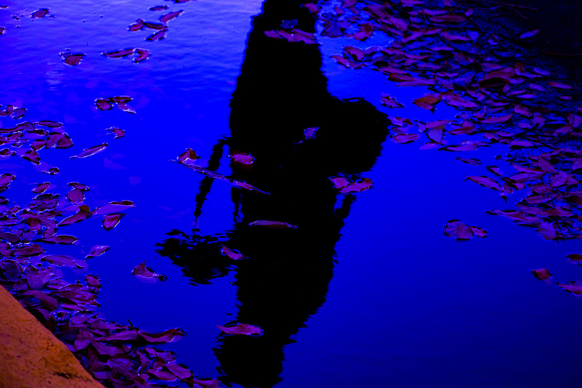 特拉华河霍巴特西分支径流预测结果分析：MSE、RMSE、MAE指标解读