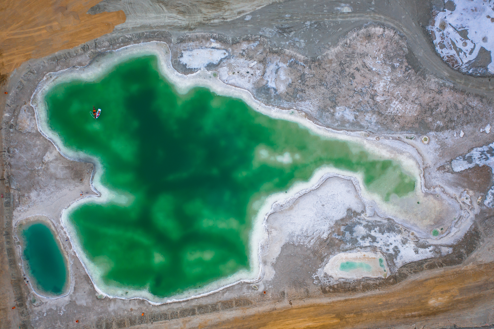 请作为科研人员改写以下内容：盐碱地生物育种研究中心主要开展耐盐碱作物种质资源鉴定评价和盐碱地适生作物种质资源创制与高效育种相关研究。建设盐碱地生物资源与评价利用重点实验室、盐碱地农业生物分子育种实验室、耐盐碱作物育种加速与表型鉴定平台、耐盐碱植物种质资源库和多梯度盐碱地田间育种与专用机械测试验证场5个专业研发平台。