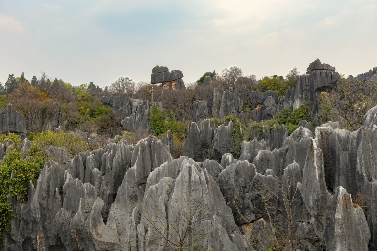 写一篇去云南的旅游攻略