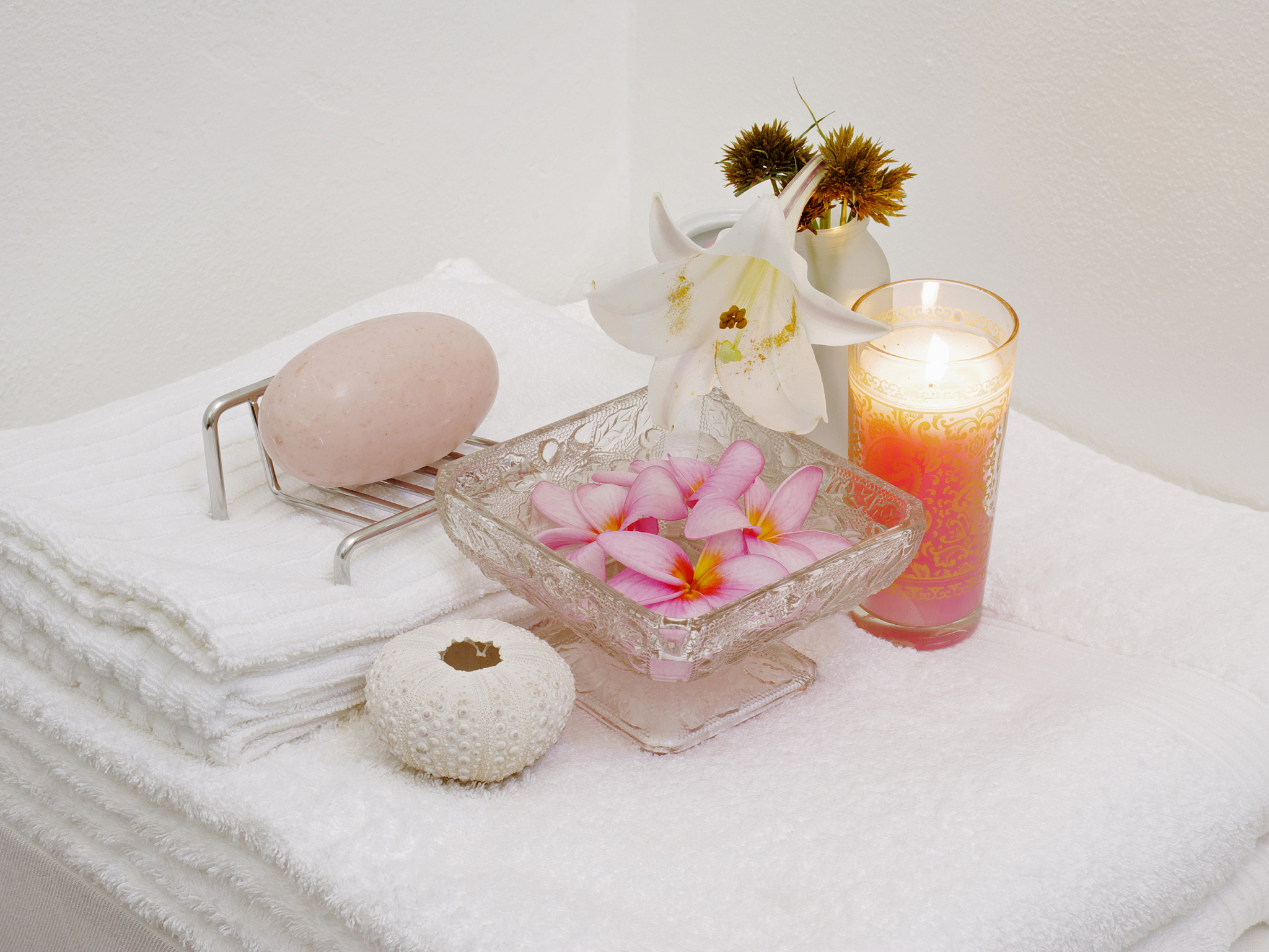 邯郸卫生学校2022年包分配吗？| 就业前景分析