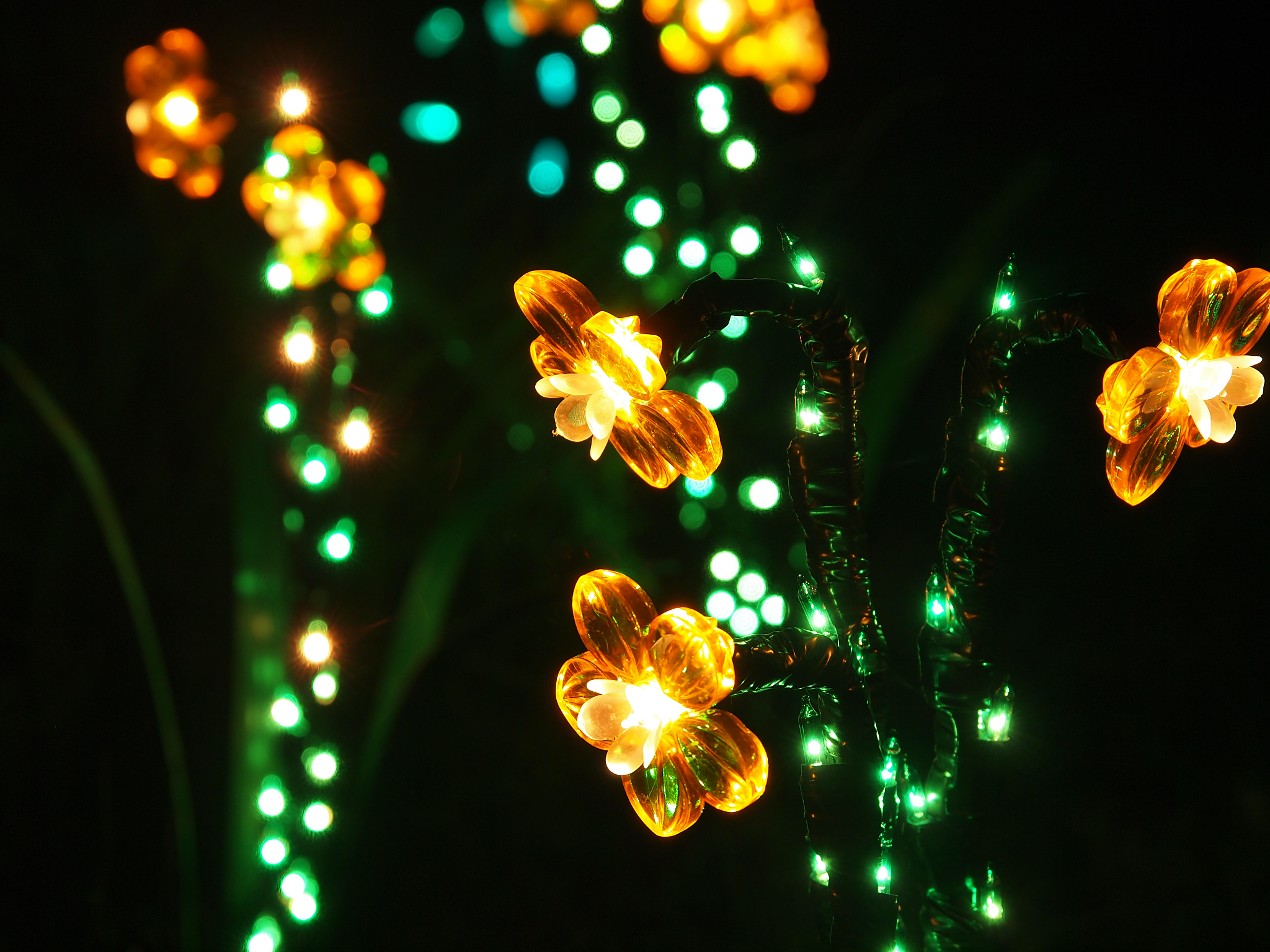 太阳能蜜蜂灯串：点亮你的浪漫夜空！
